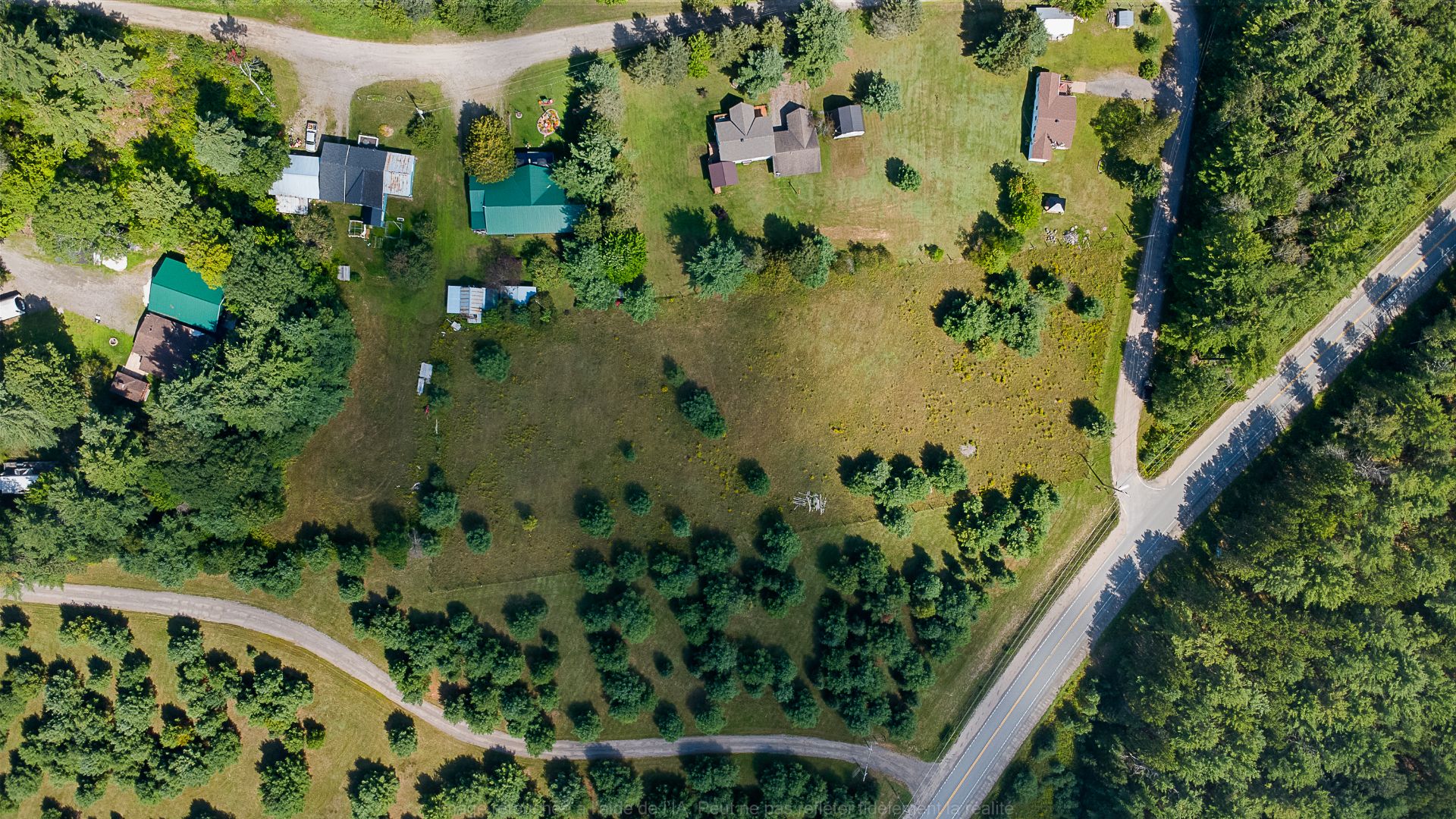 Aerial photo