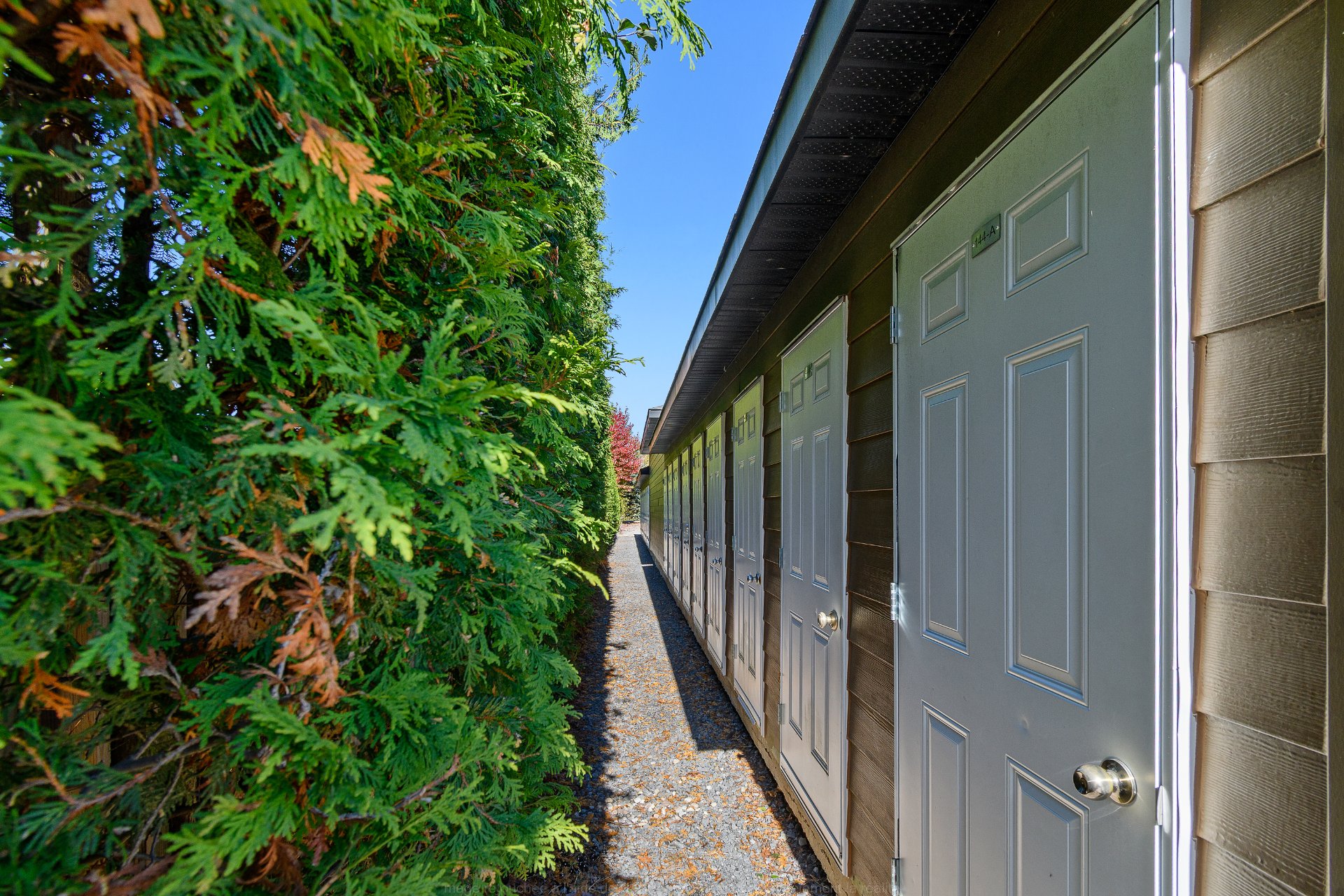 Shed