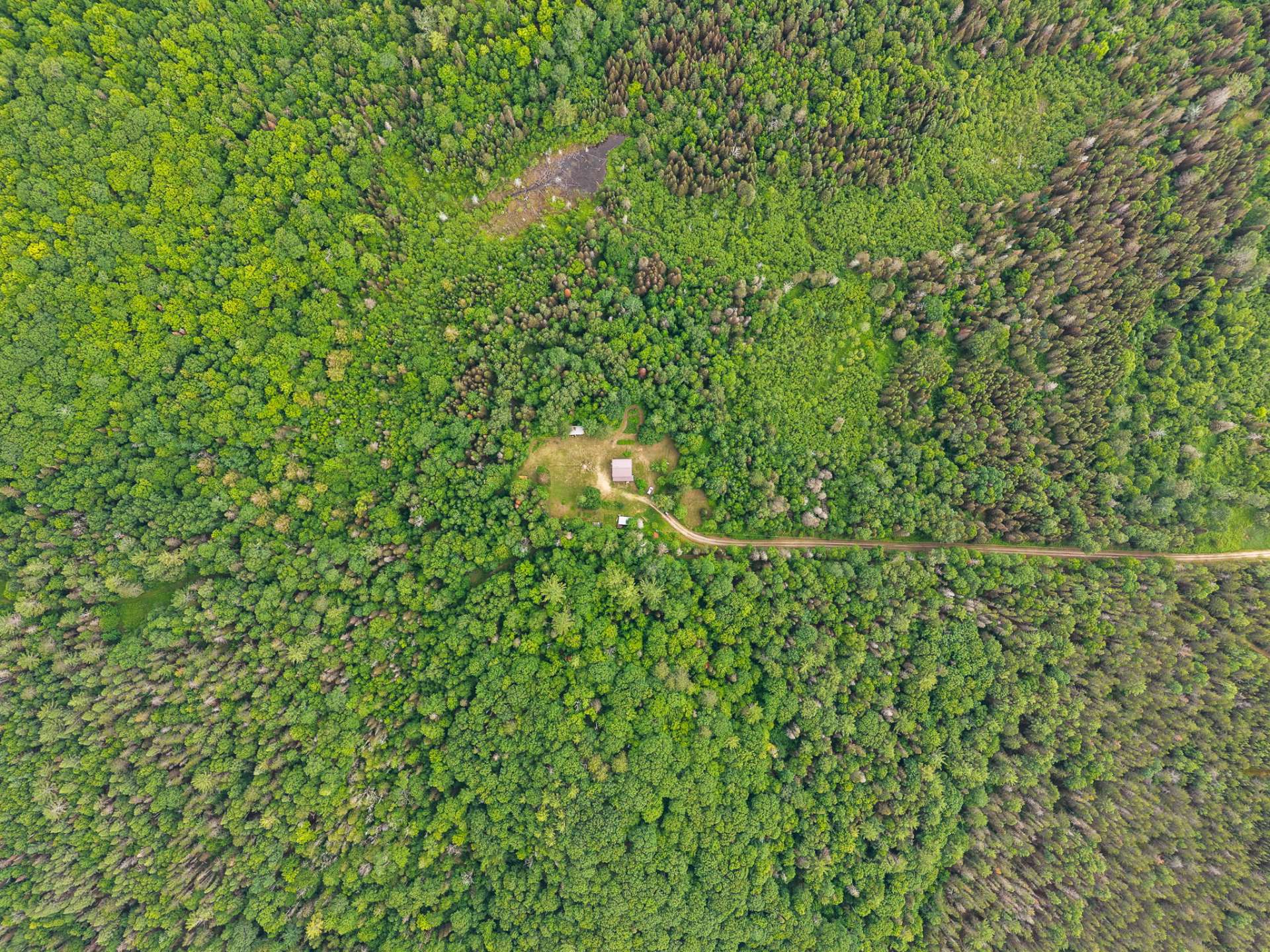 Aerial photo