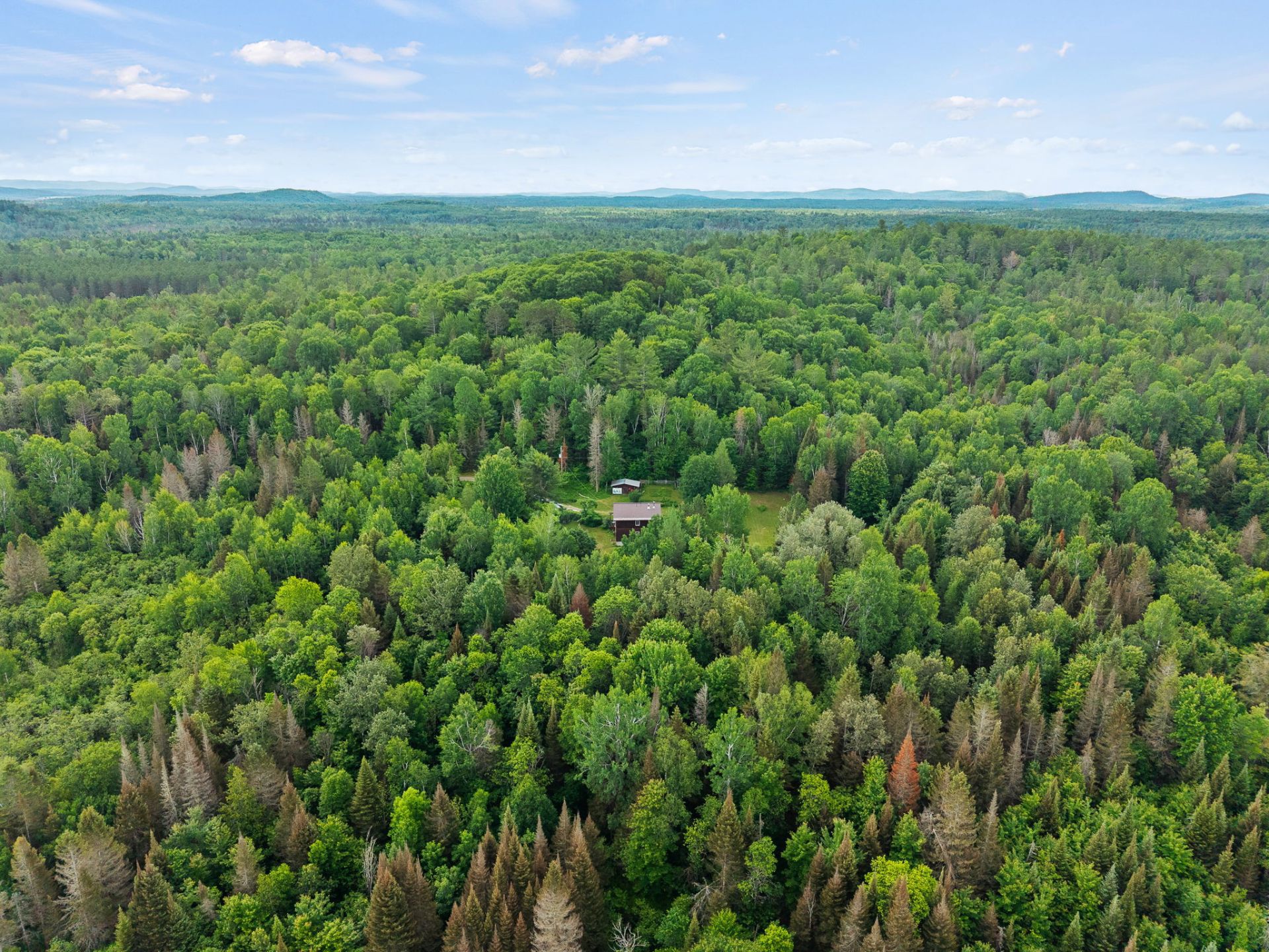 Aerial photo