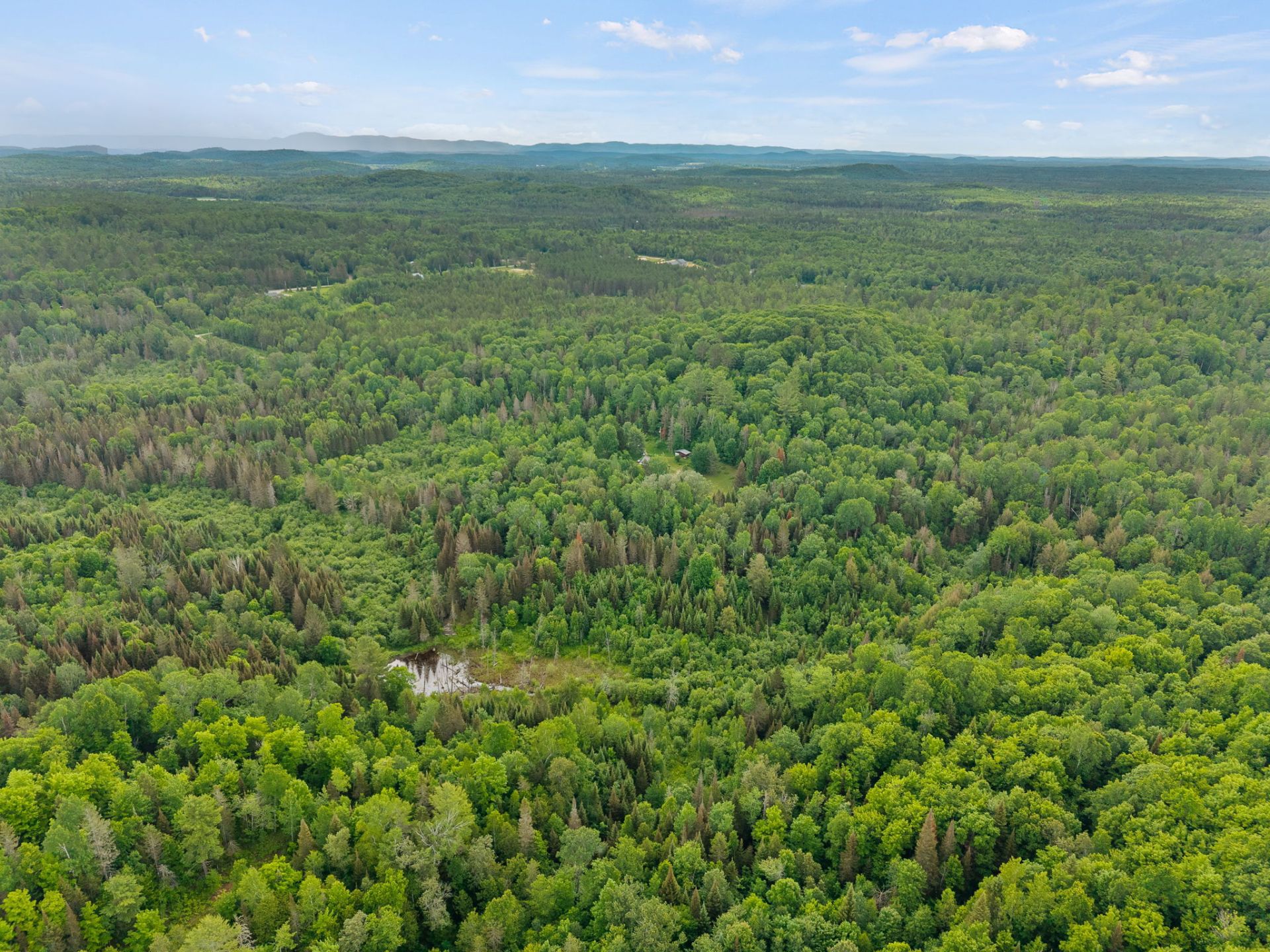 Aerial photo