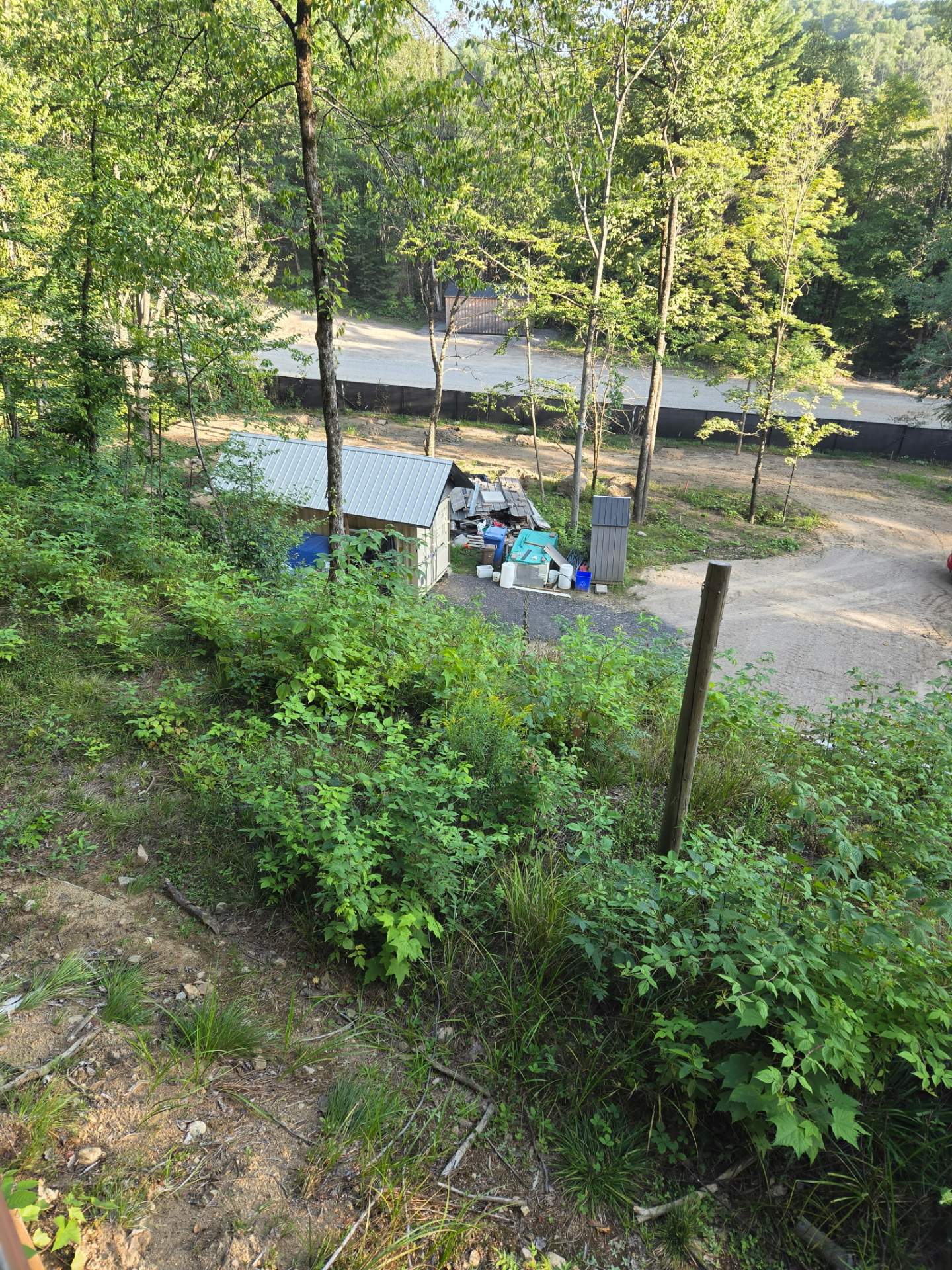 Overall view