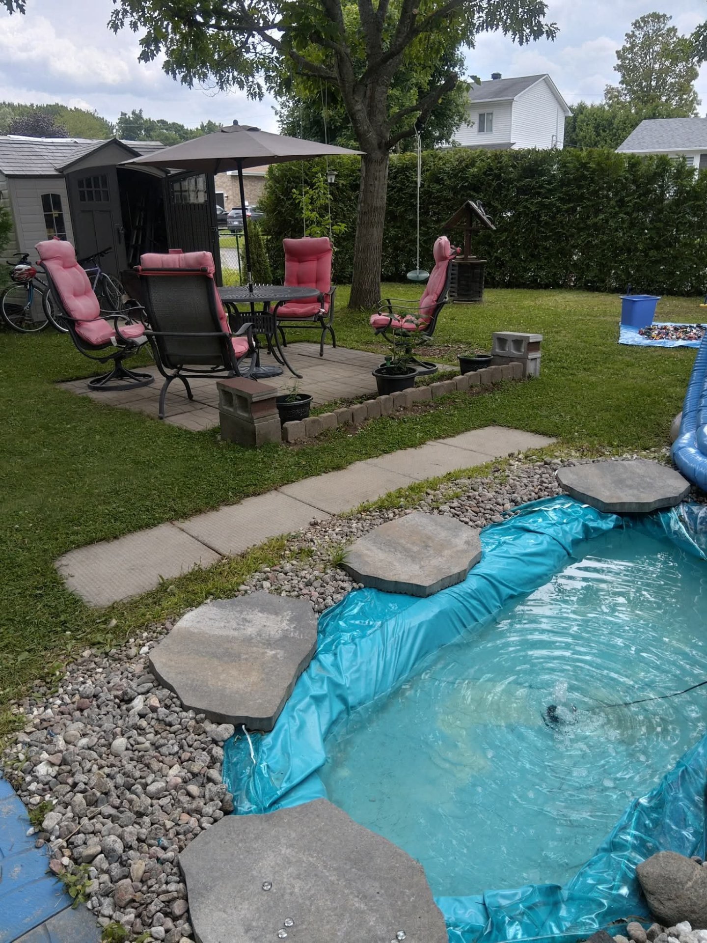 Backyard