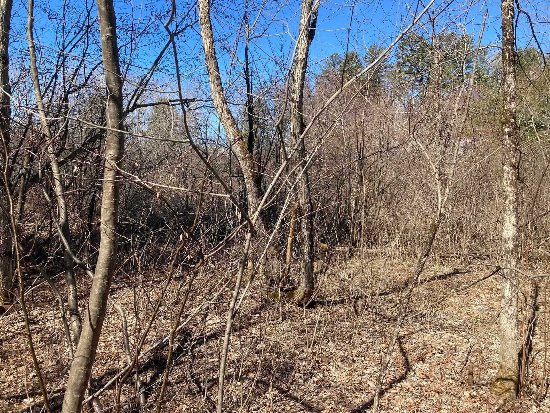 Wooded area
