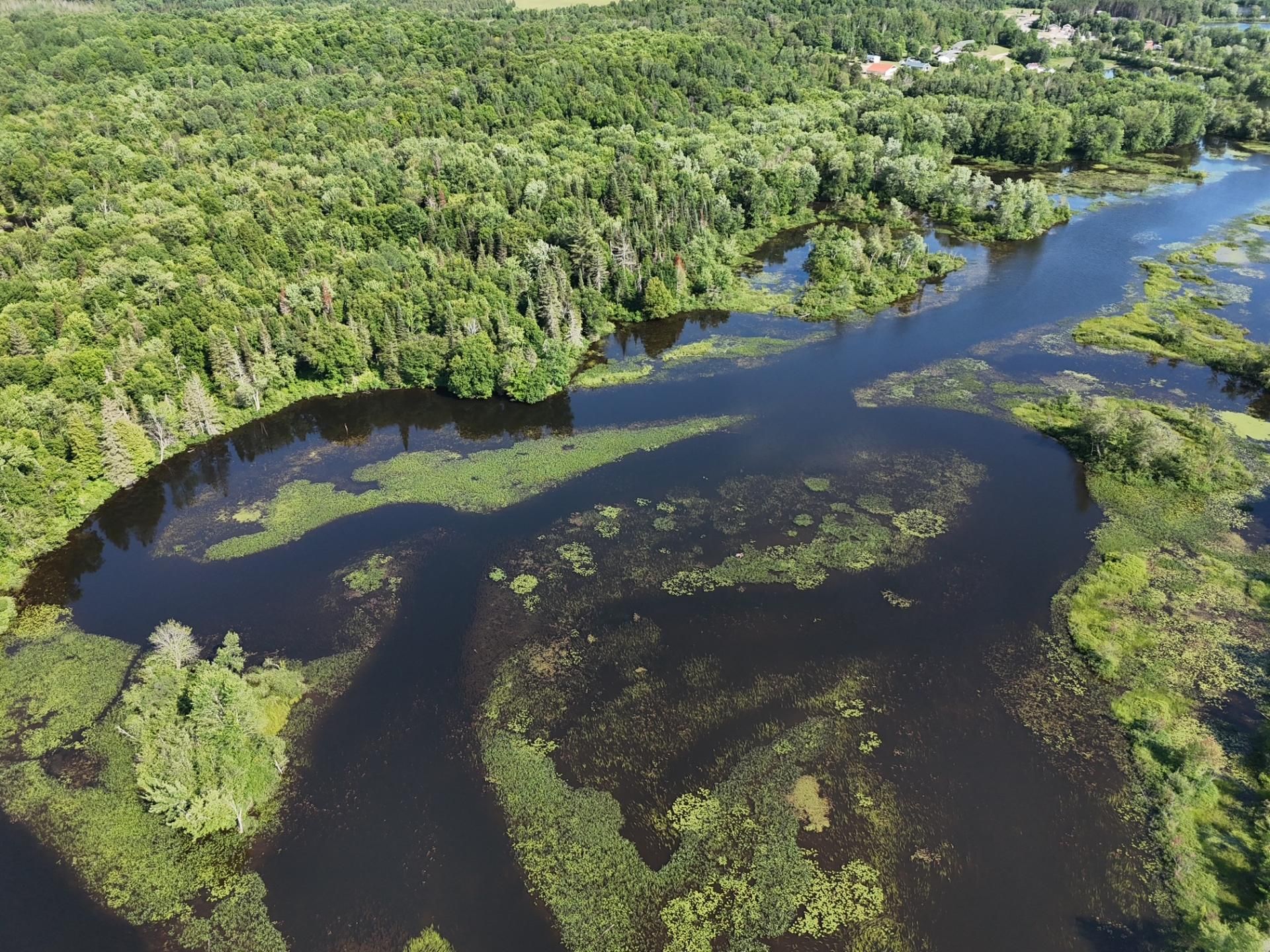 Aerial photo