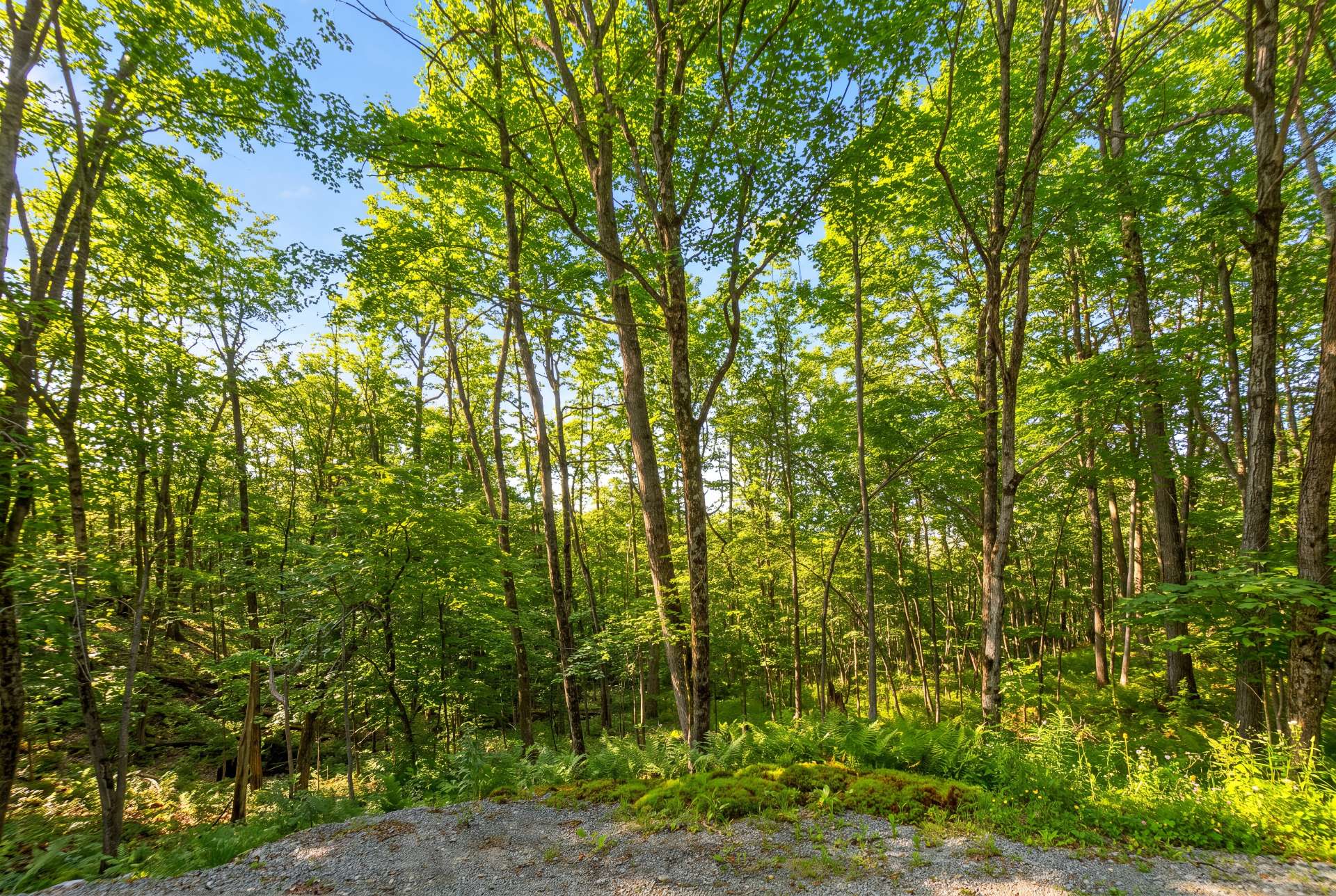 Land/Lot