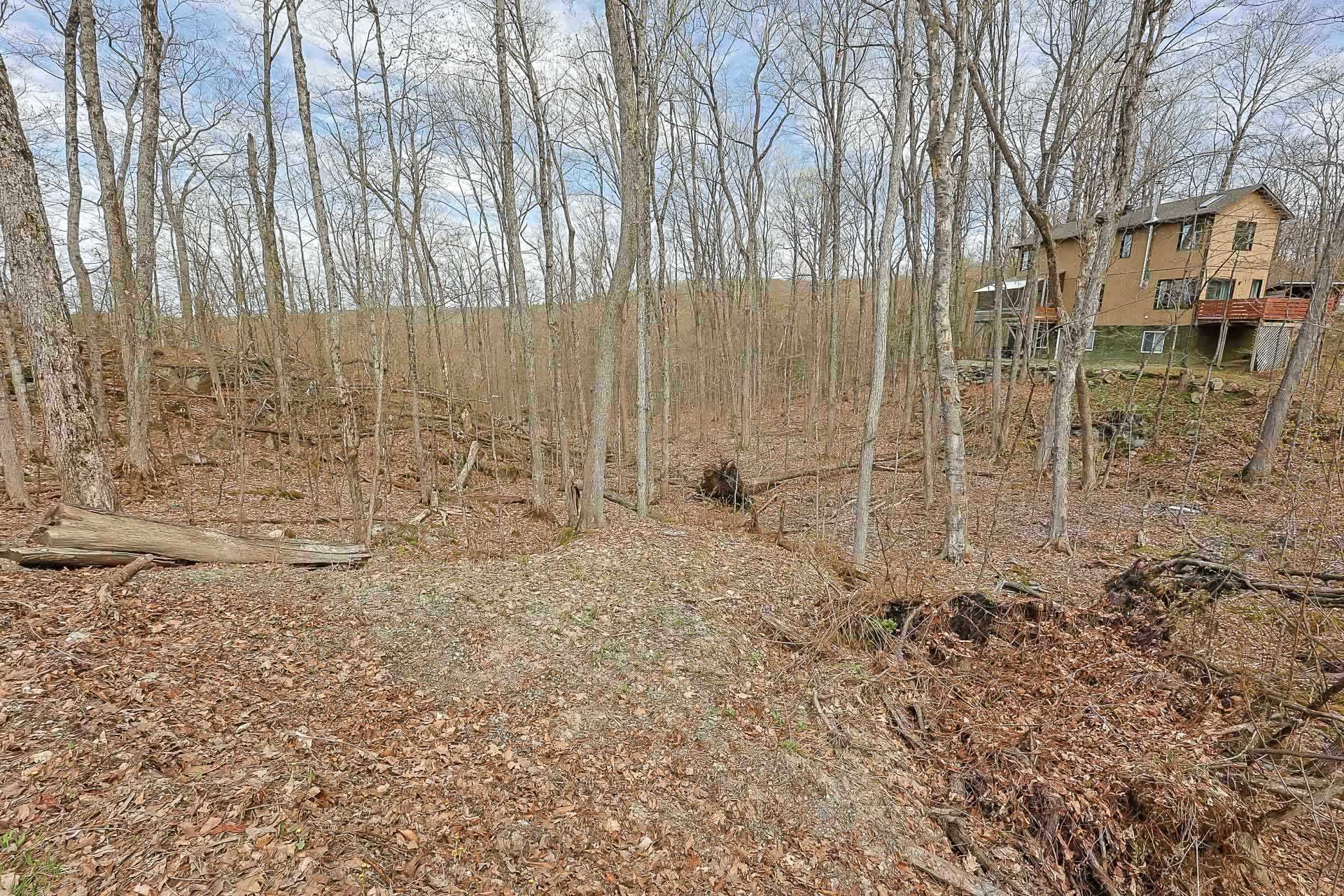 Land/Lot