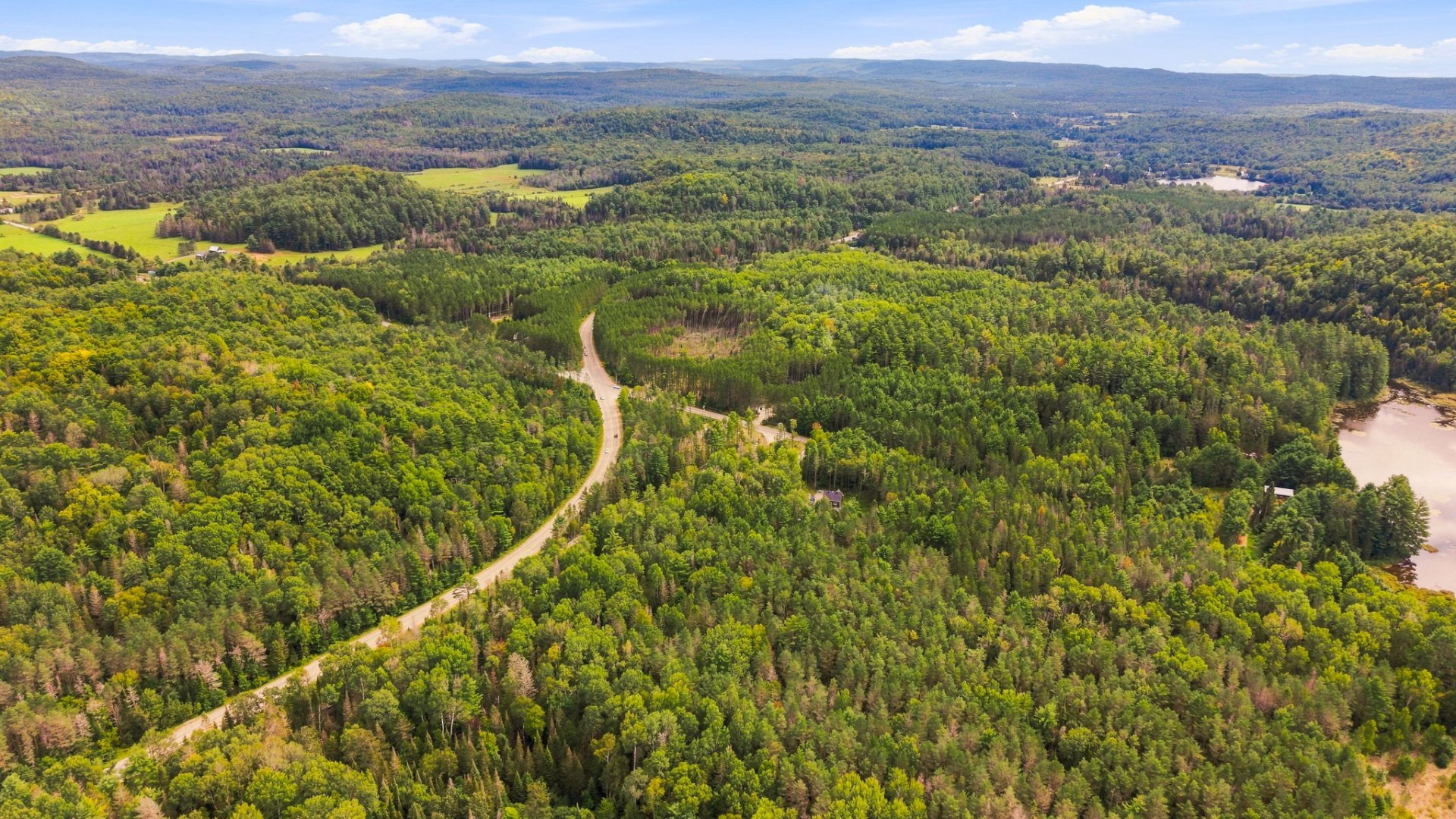 Aerial photo