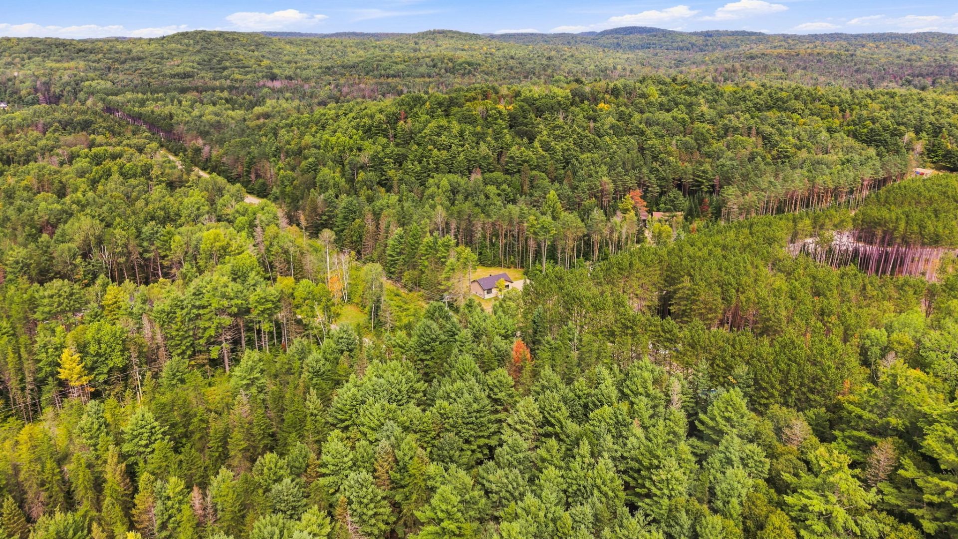 Aerial photo