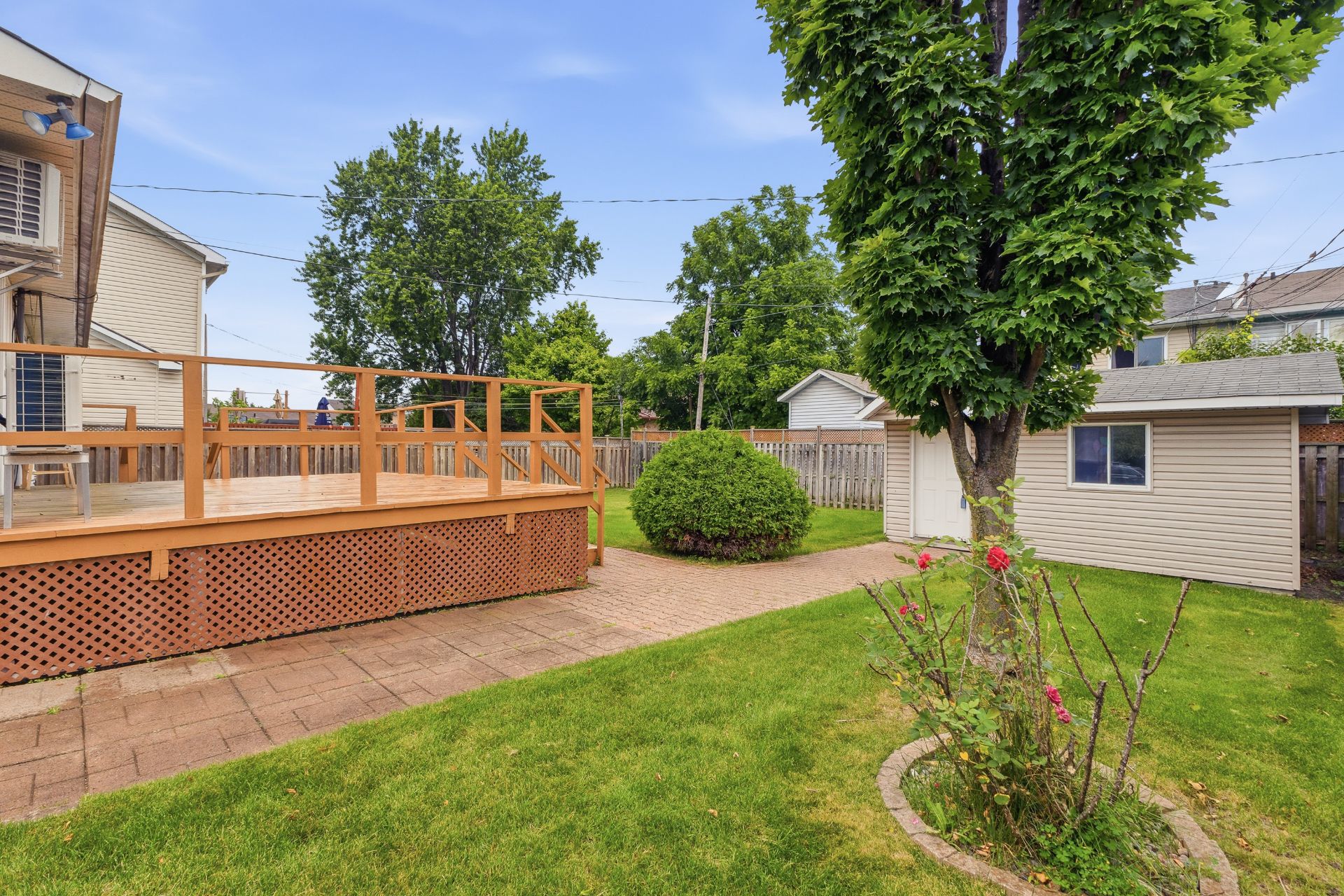 Backyard