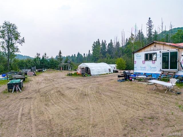 Overall View
