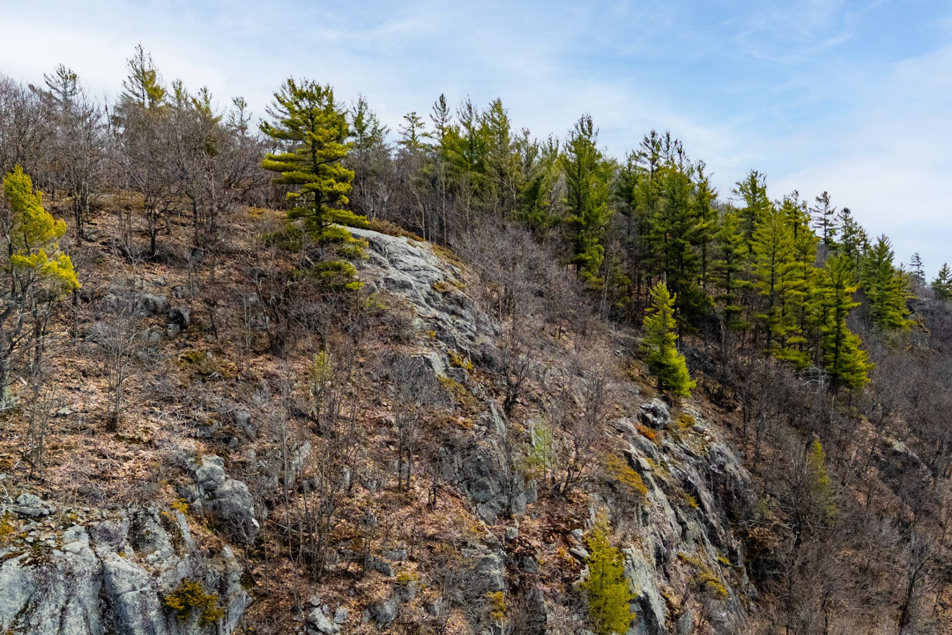 Overall View