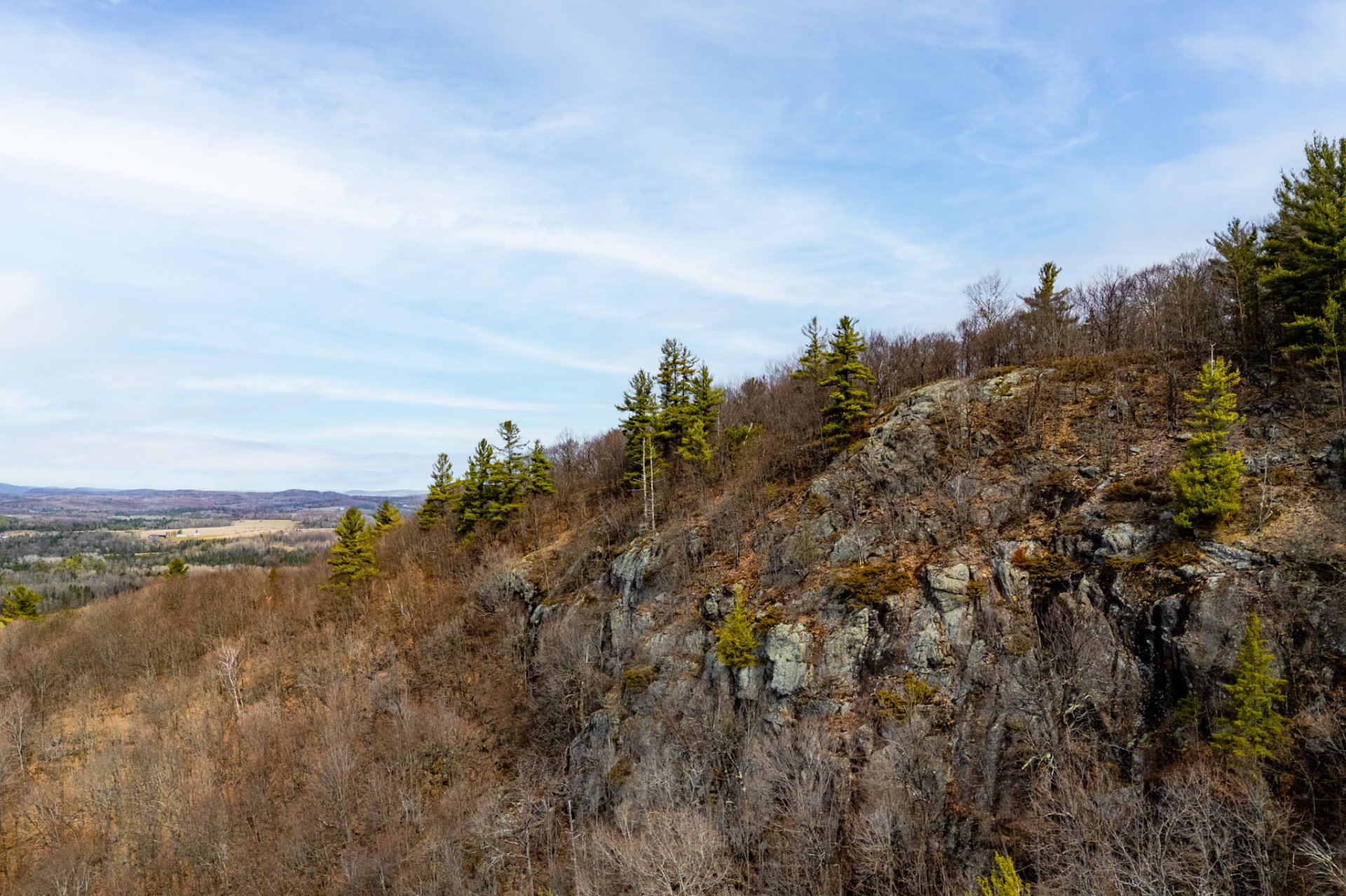 Overall View