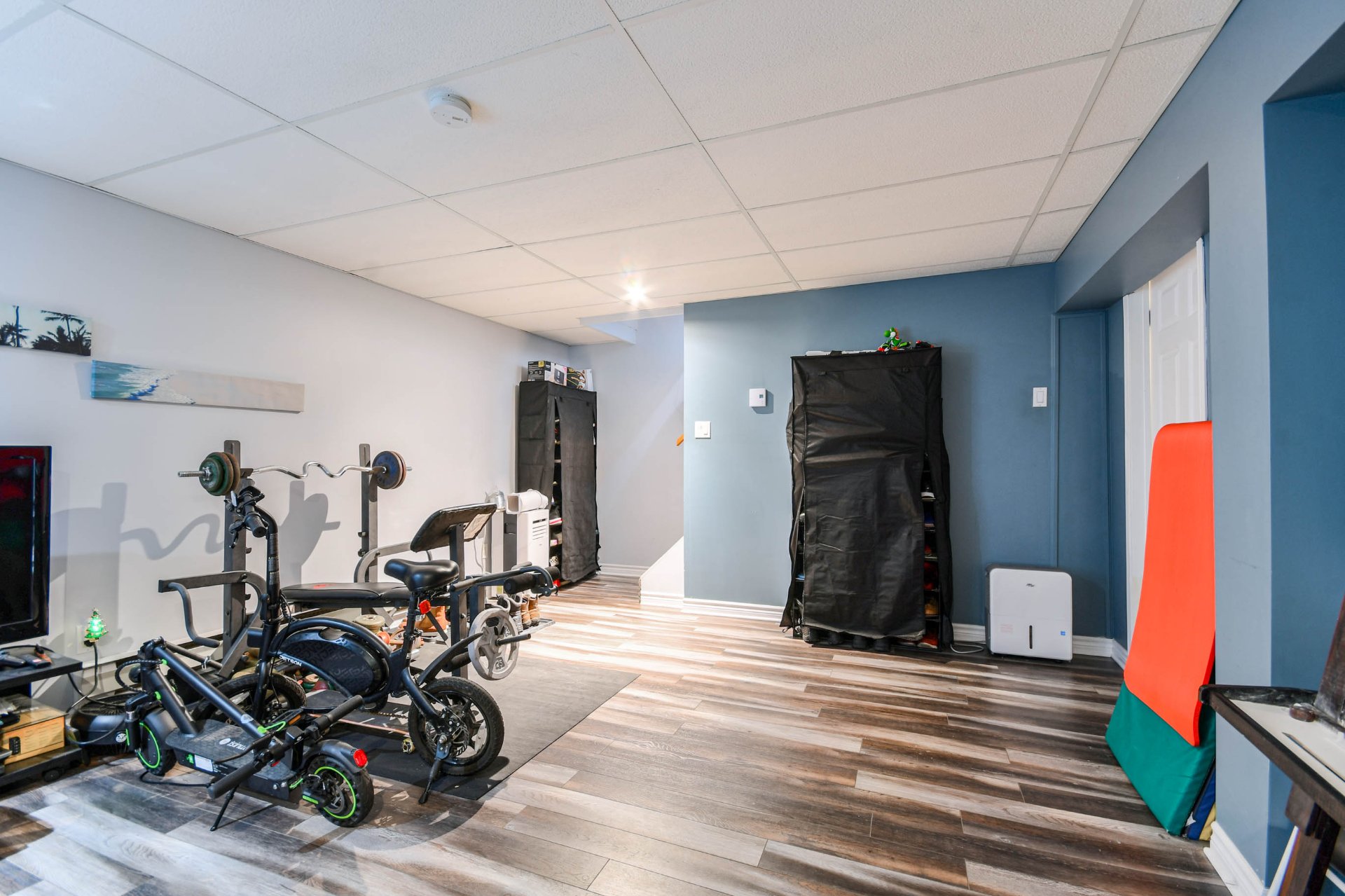 Basement - Living room space