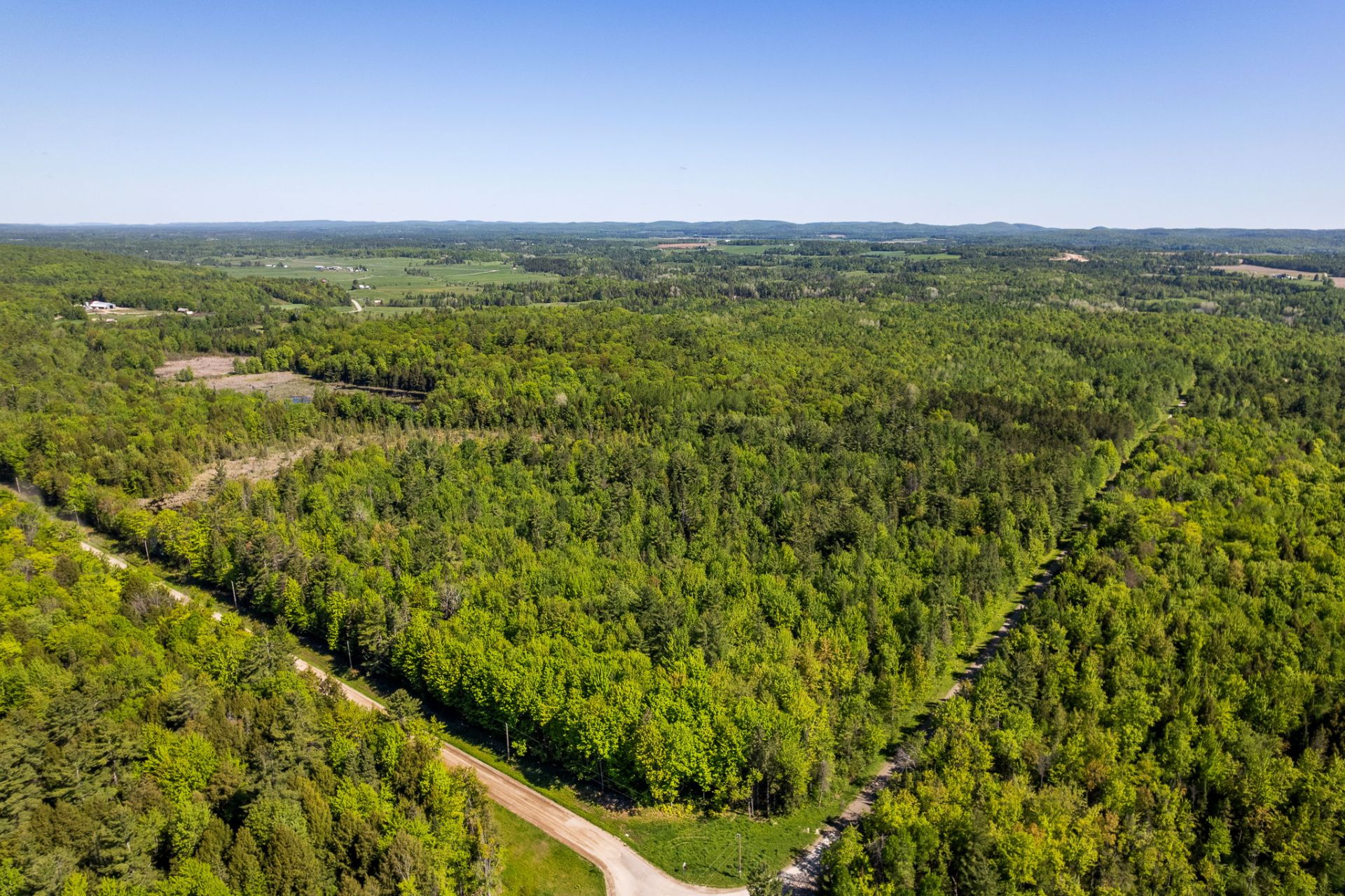 Land/Lot