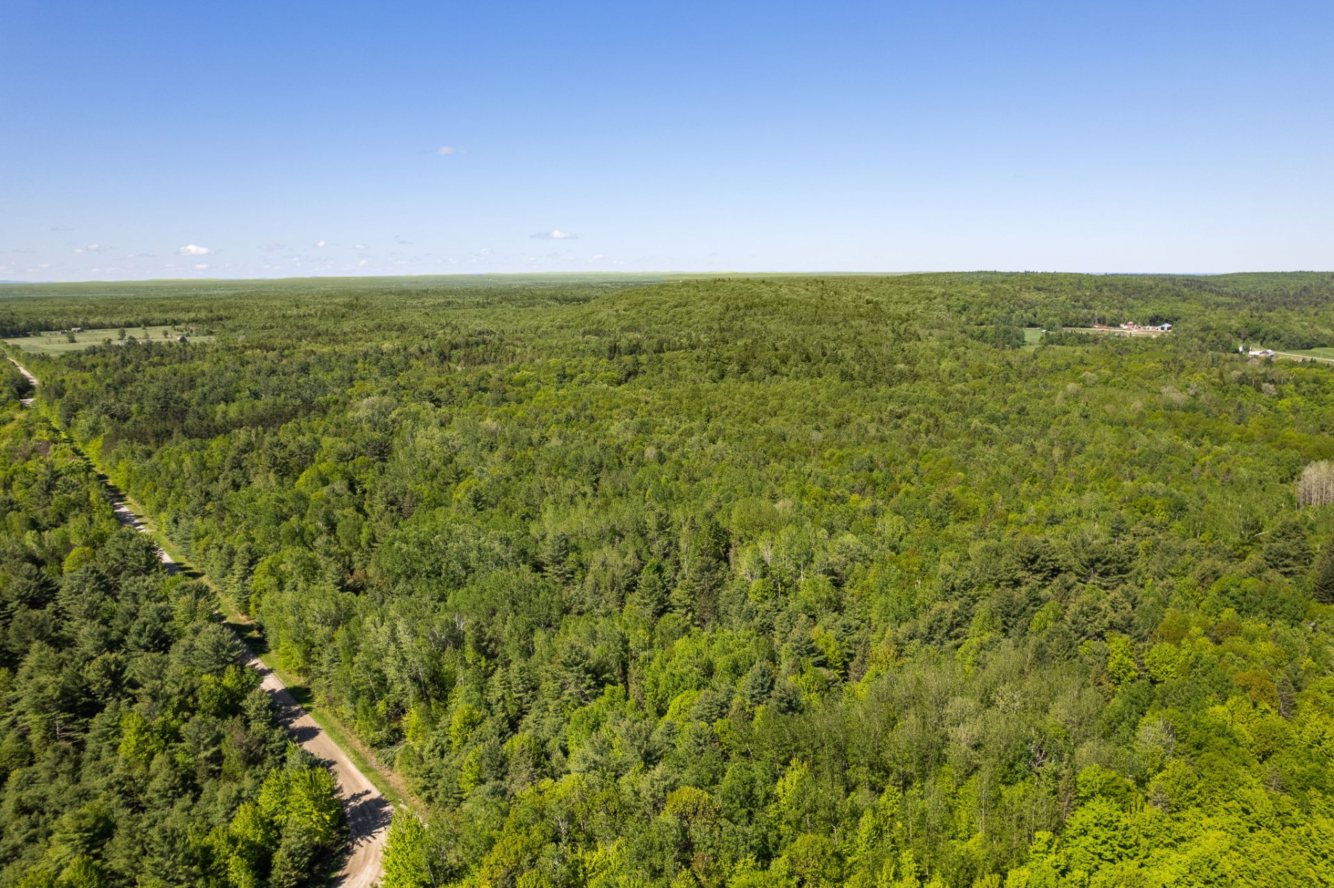 Land/Lot