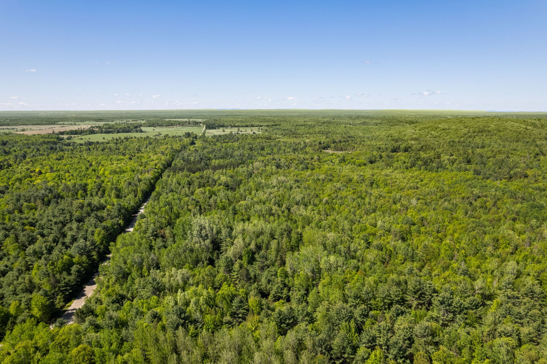 Land/Lot