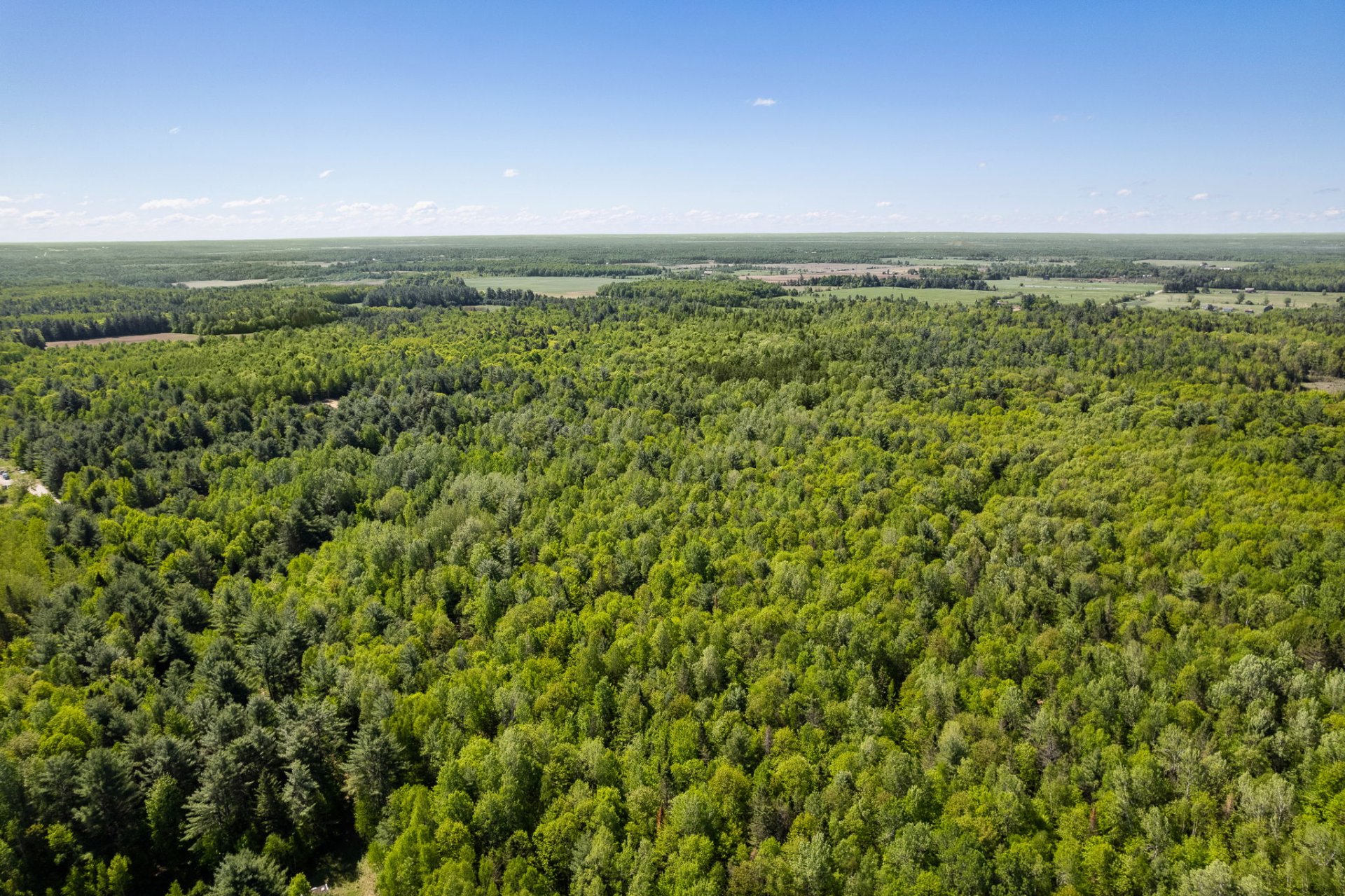 Land/Lot