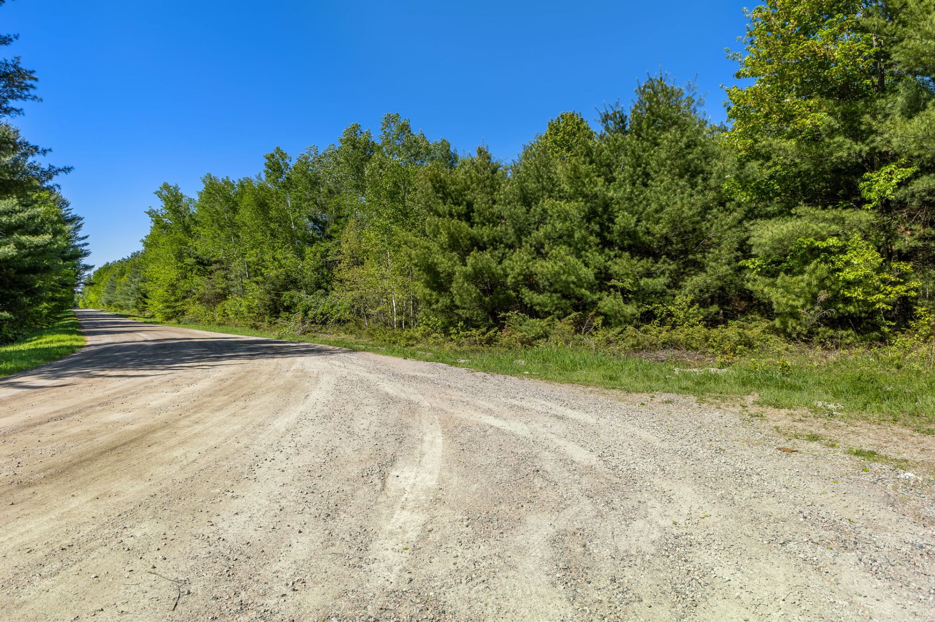 Land/Lot