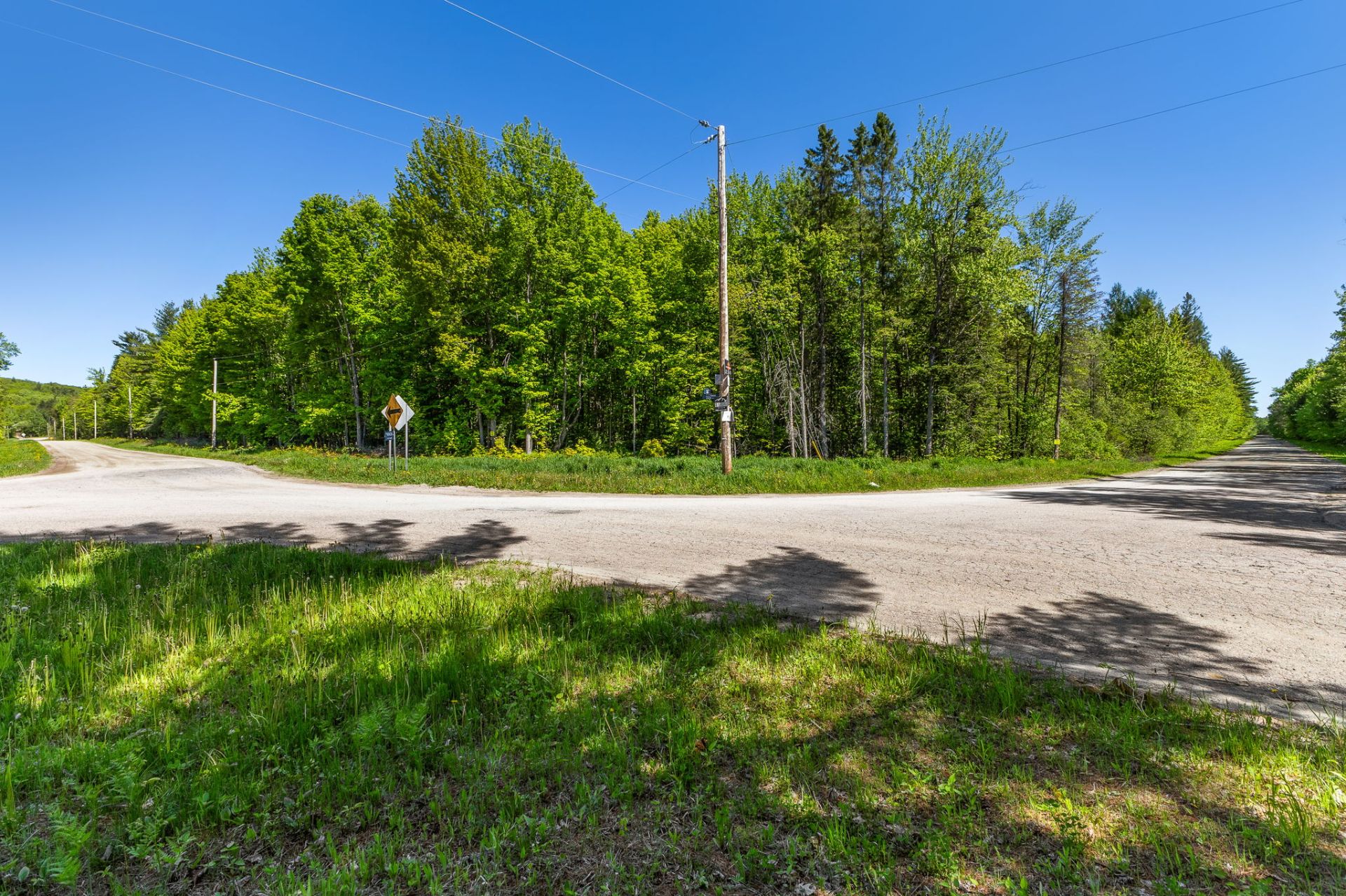 Land/Lot