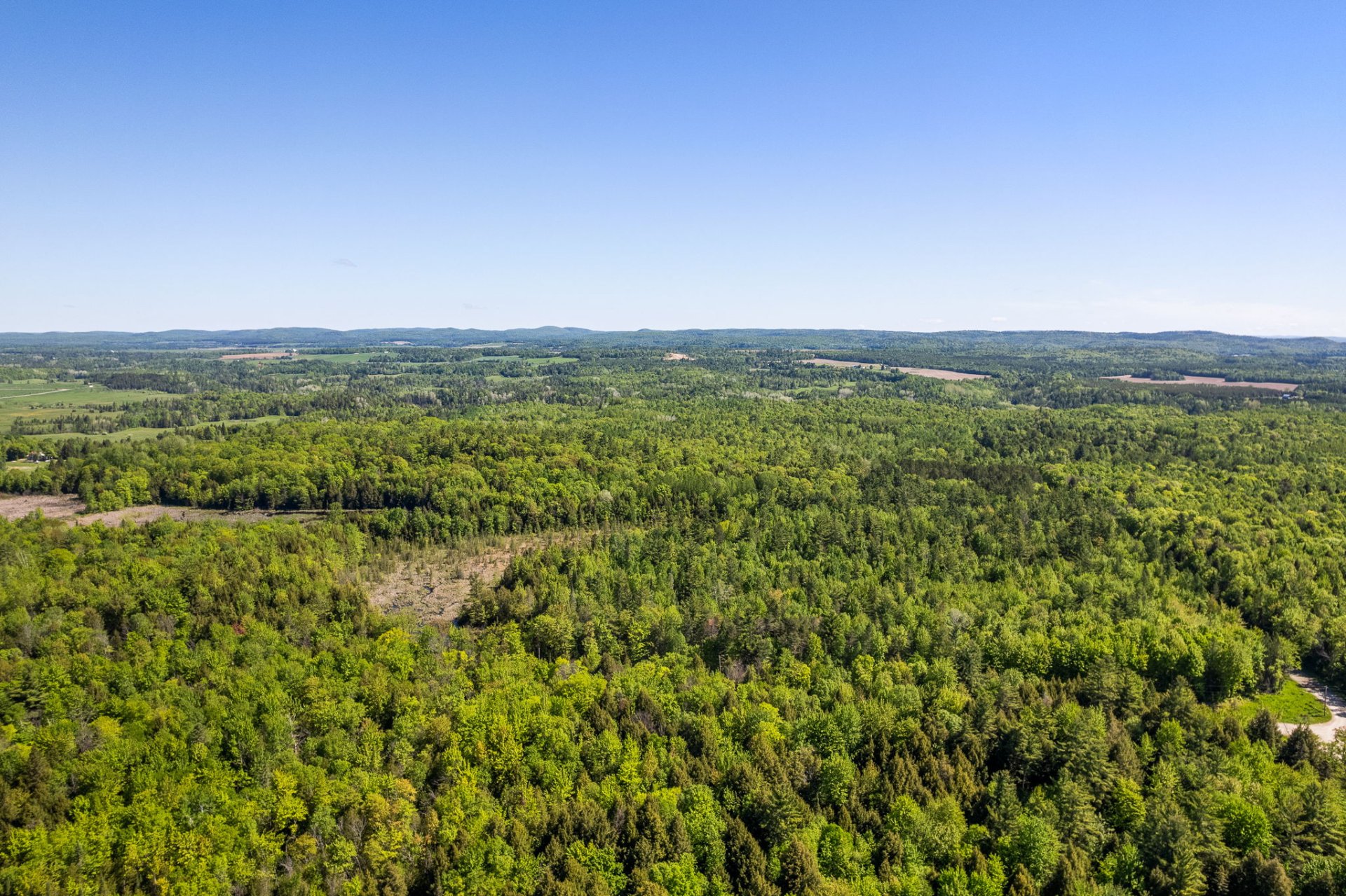 Land/Lot