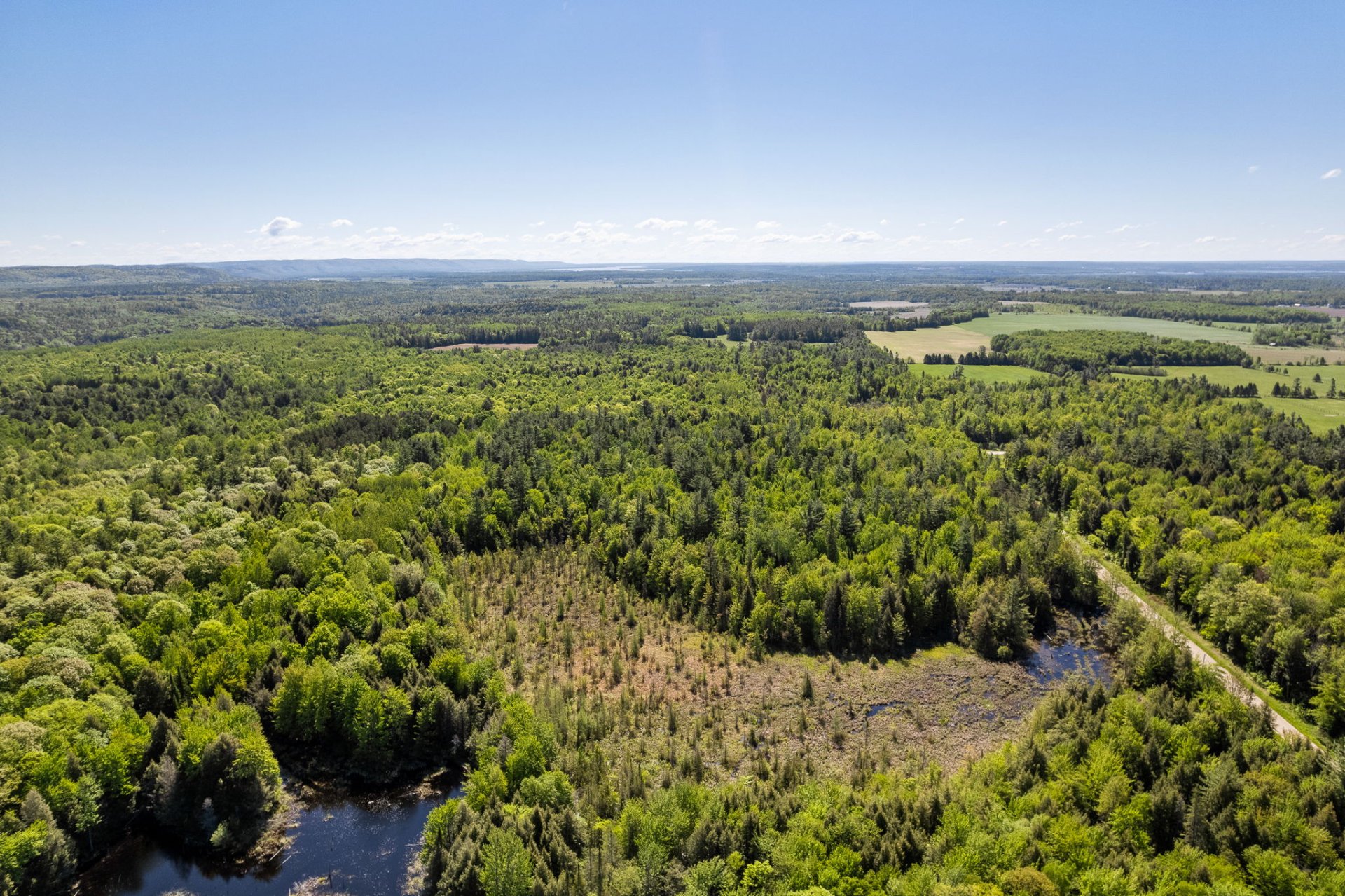Land/Lot