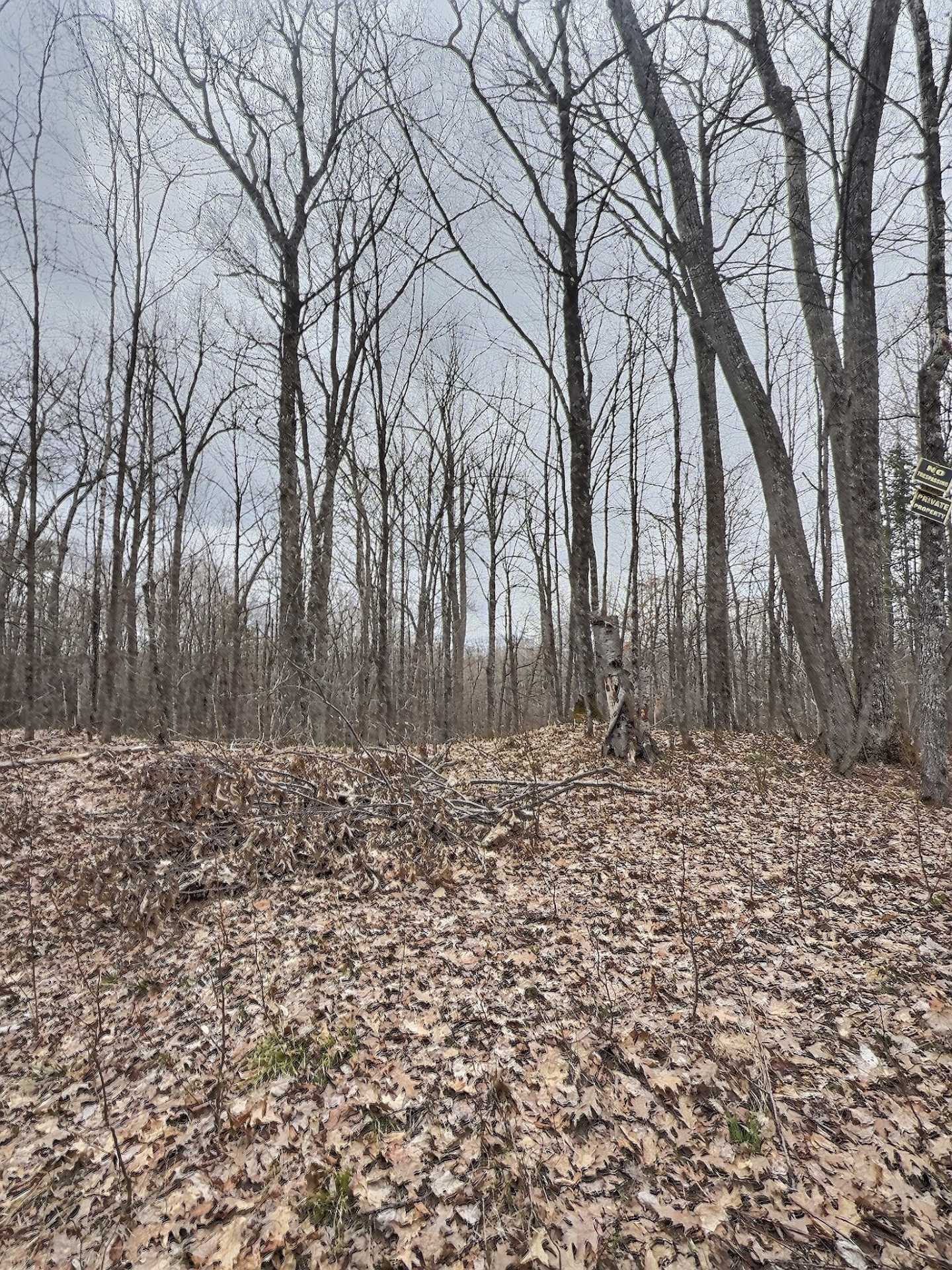 Land/Lot