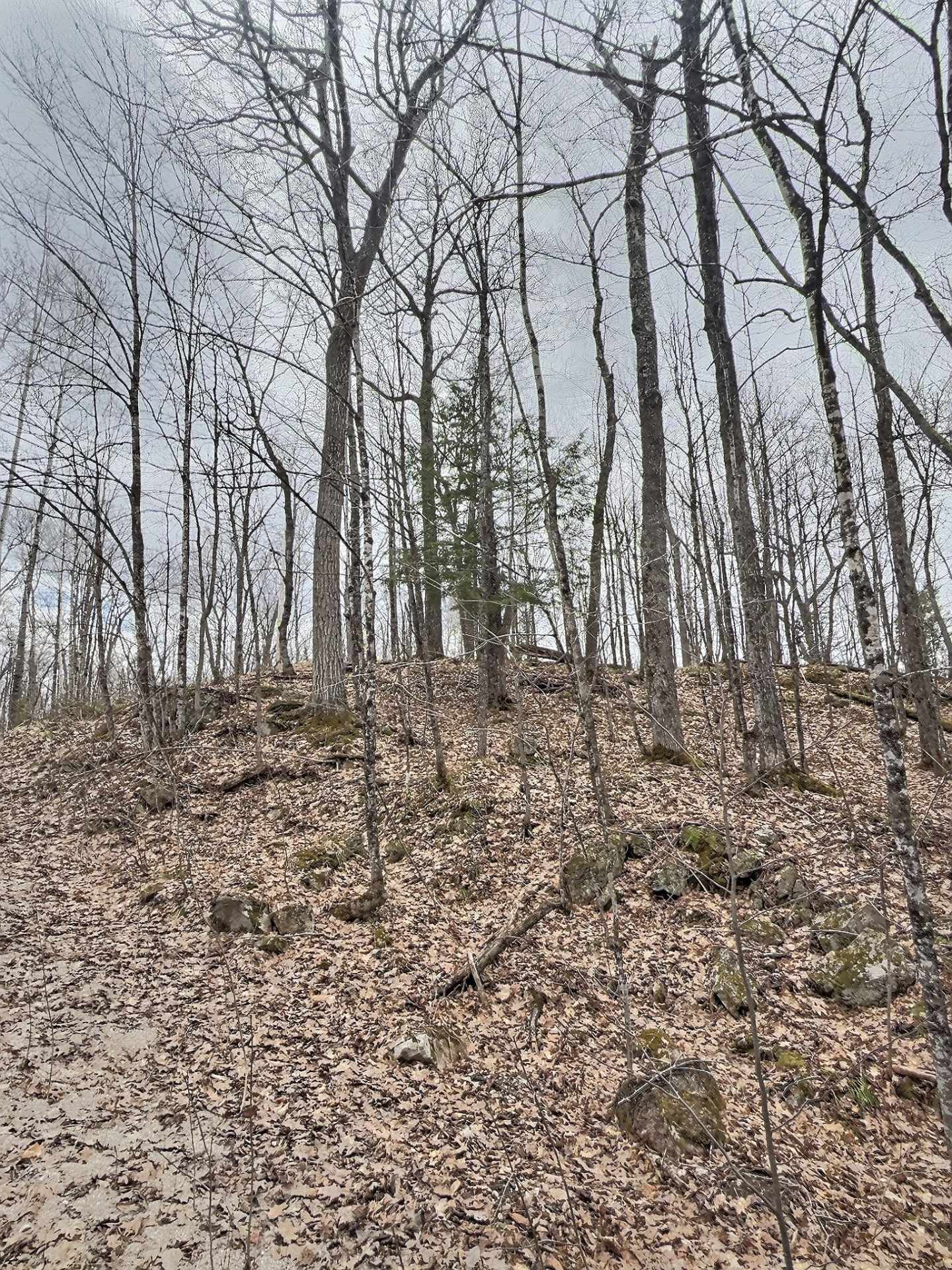 Land/Lot
