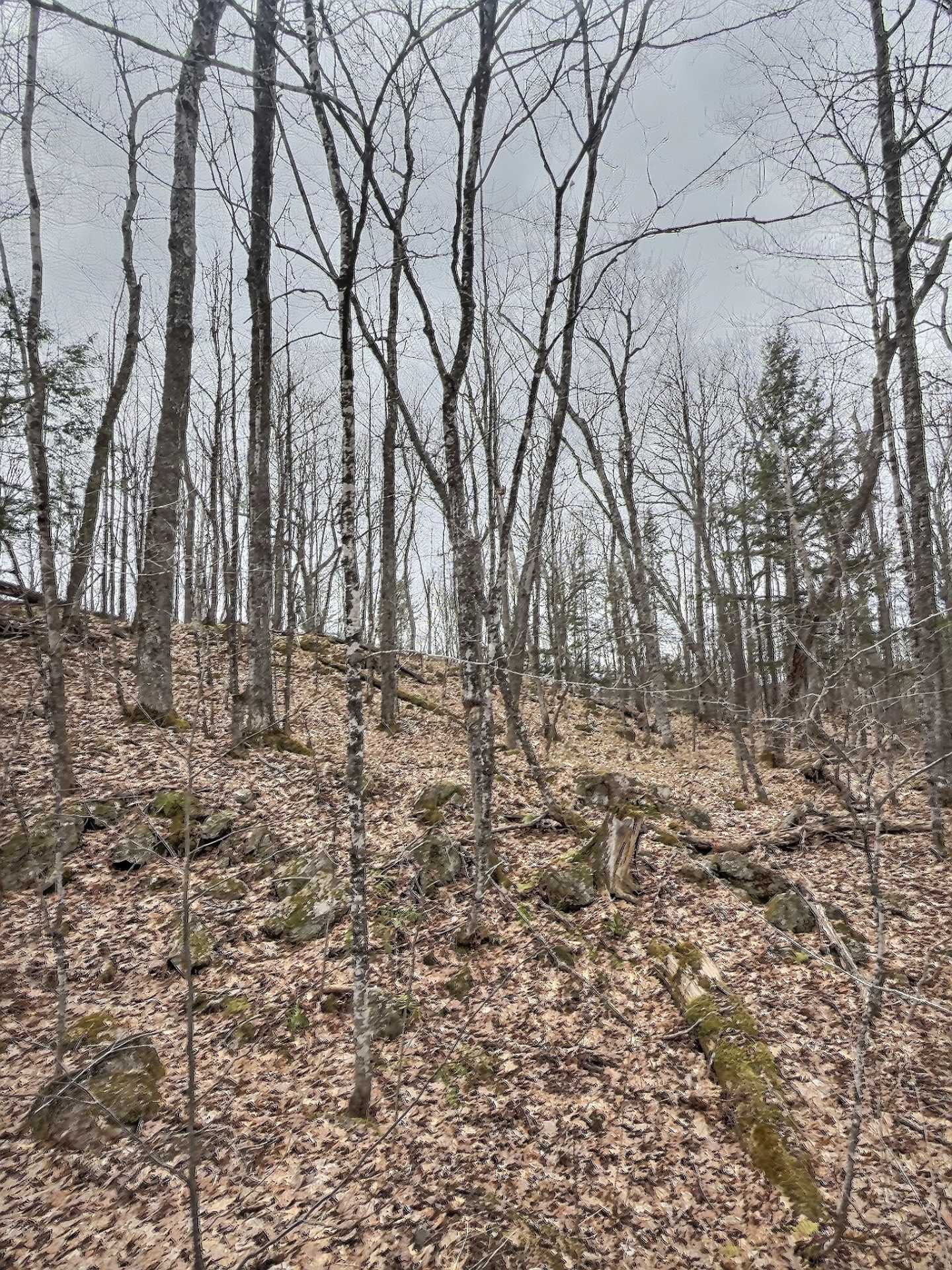 Land/Lot