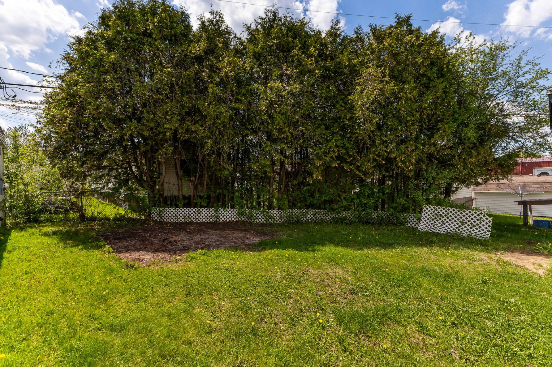 Backyard