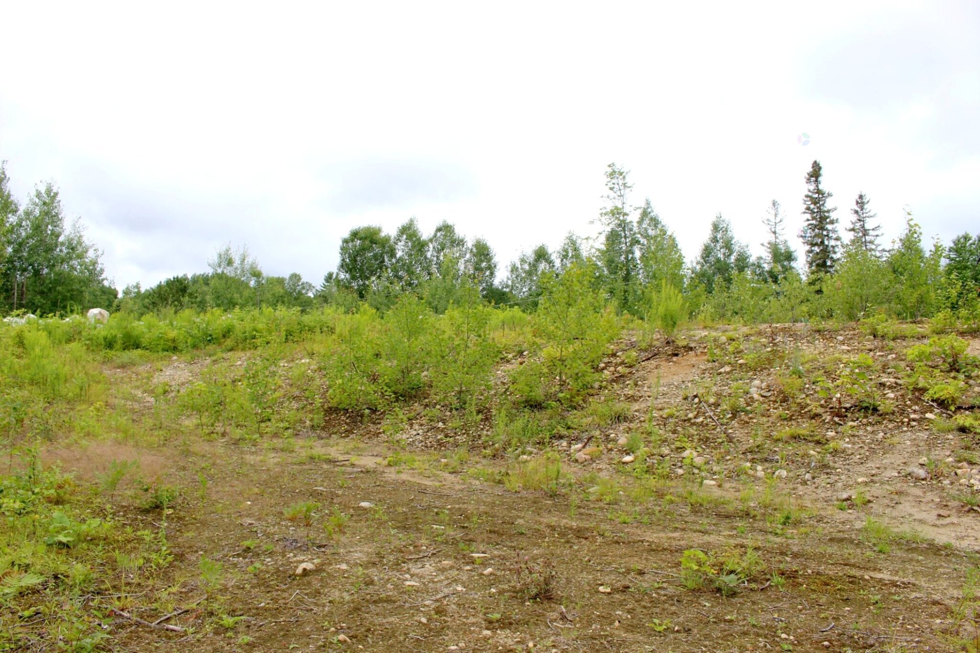 Land/Lot
