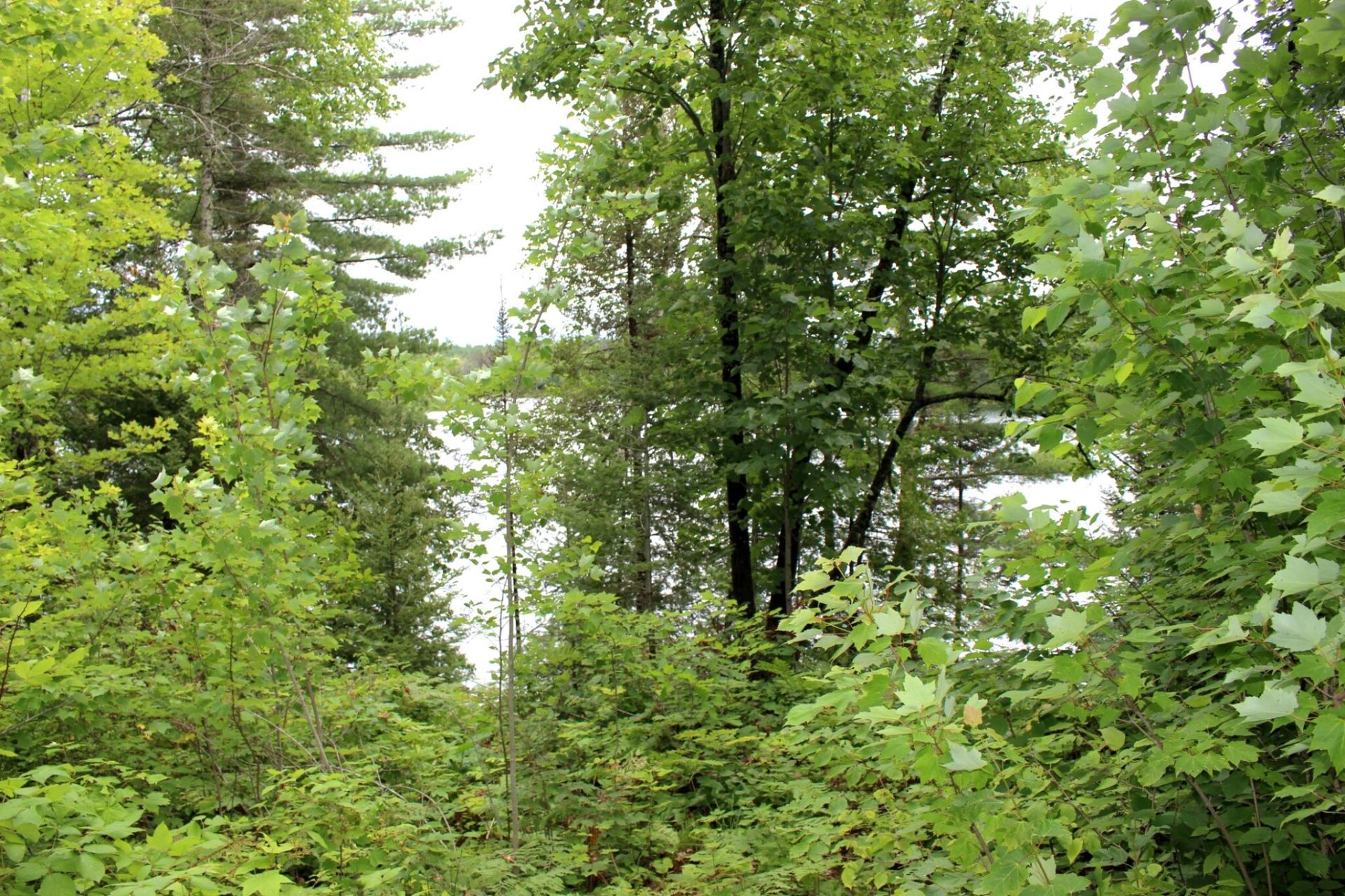 Land/Lot