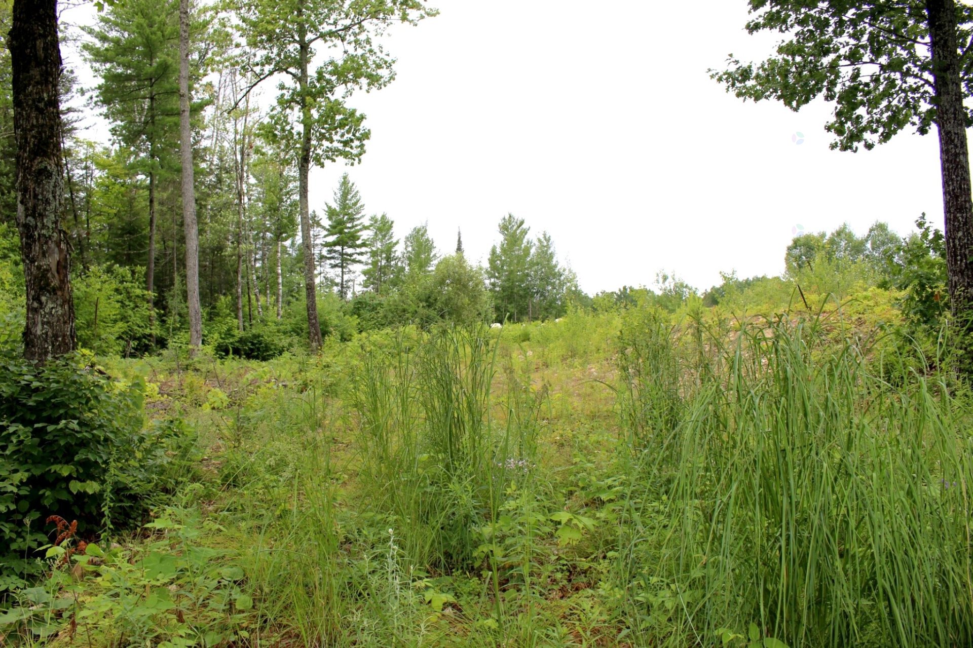Land/Lot