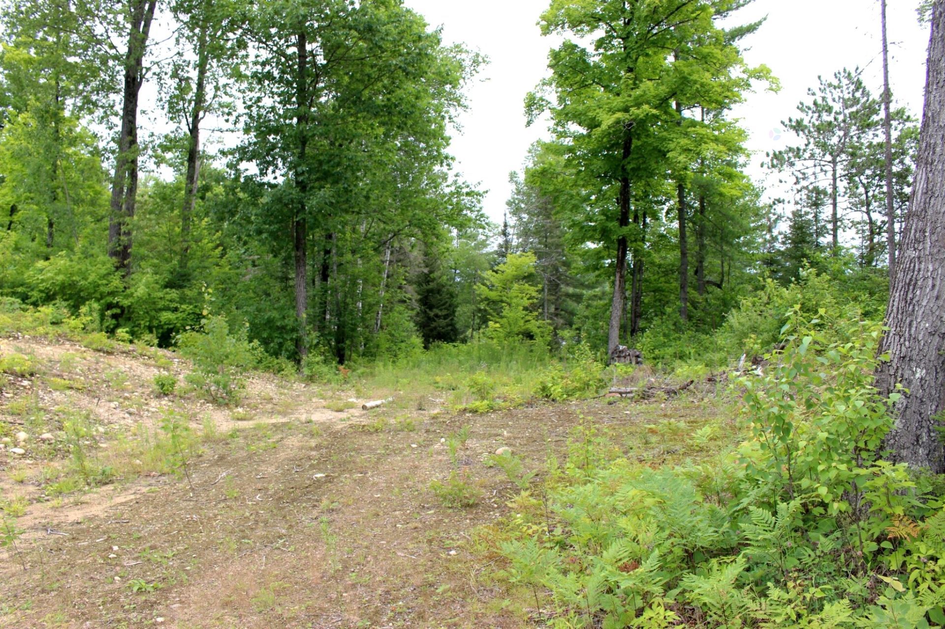Land/Lot