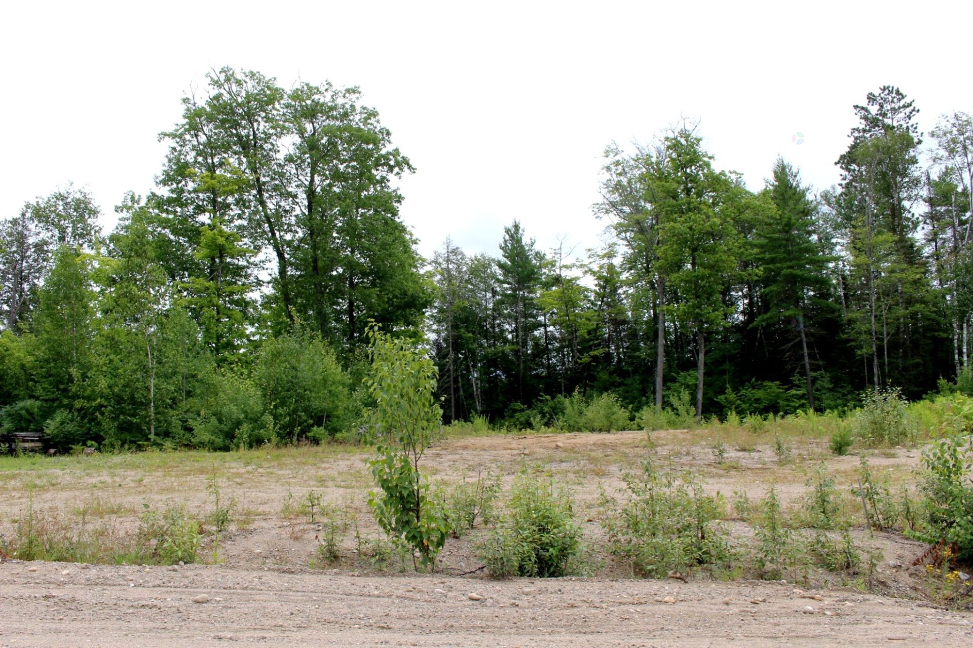 Land/Lot