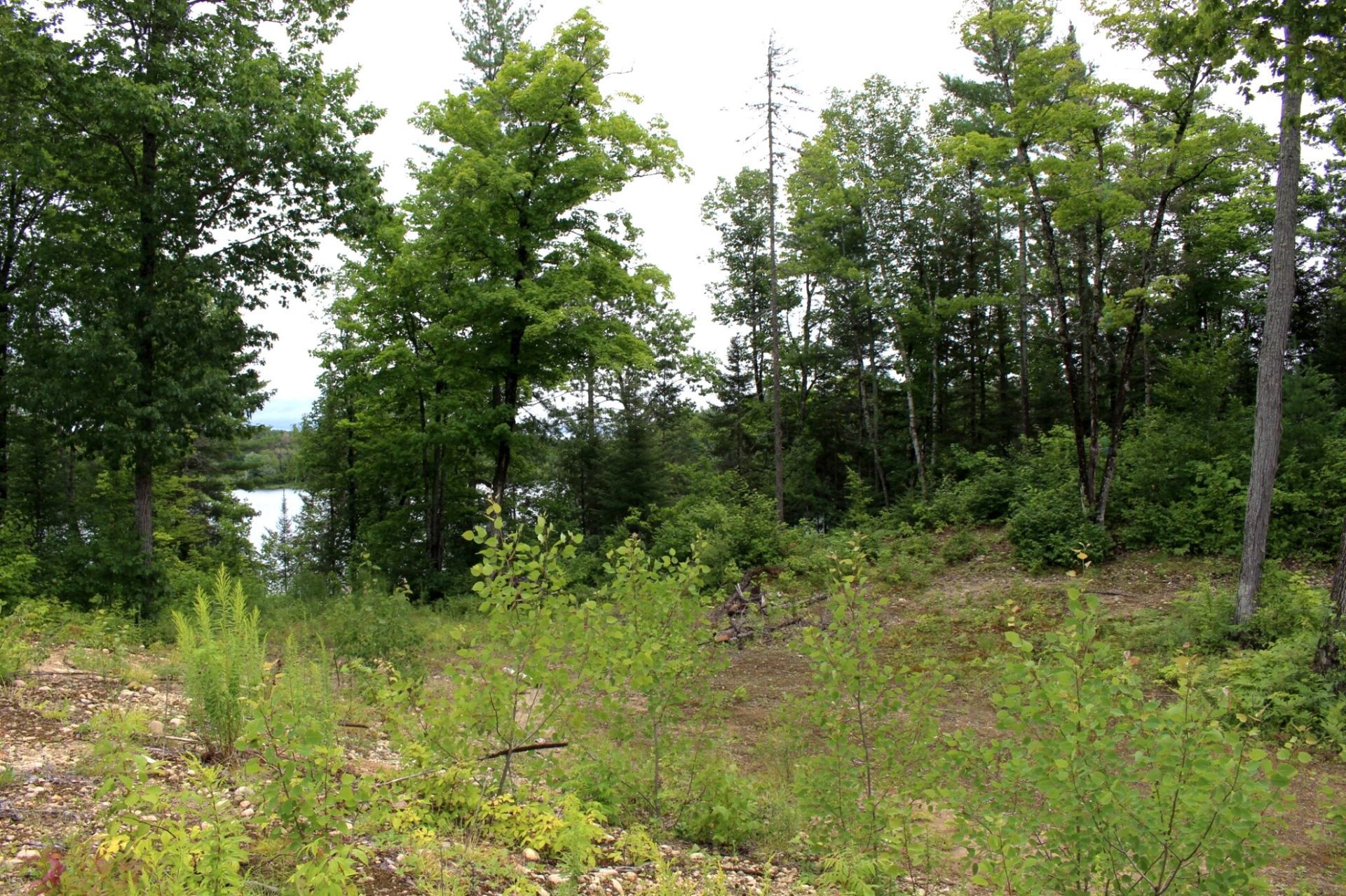Land/Lot
