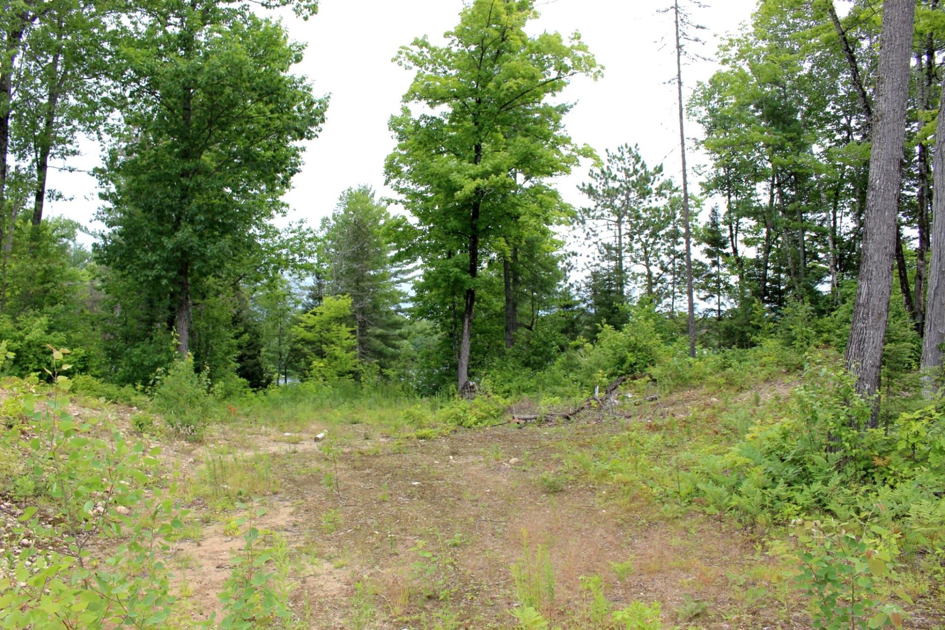 Land/Lot