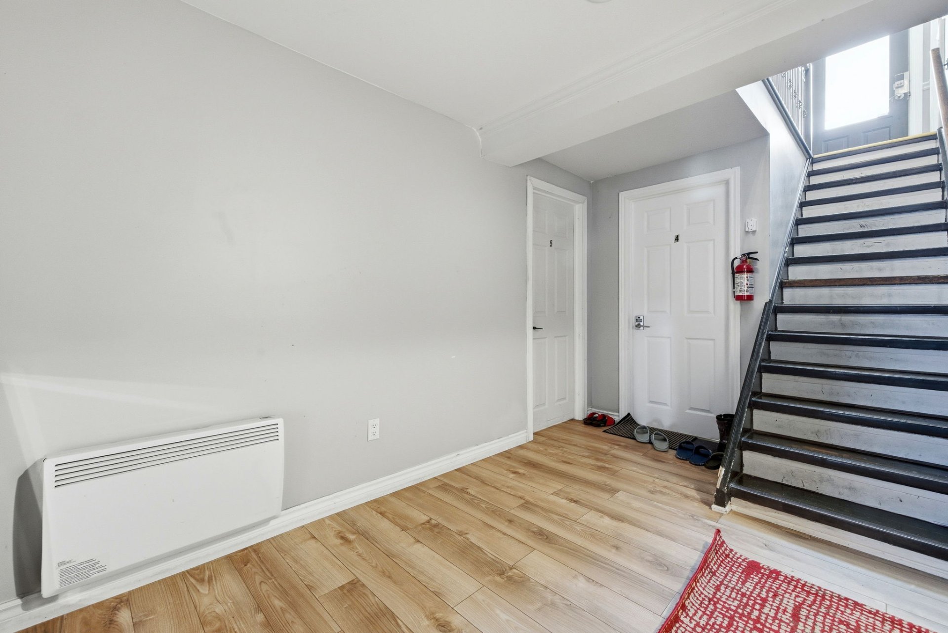 Basement