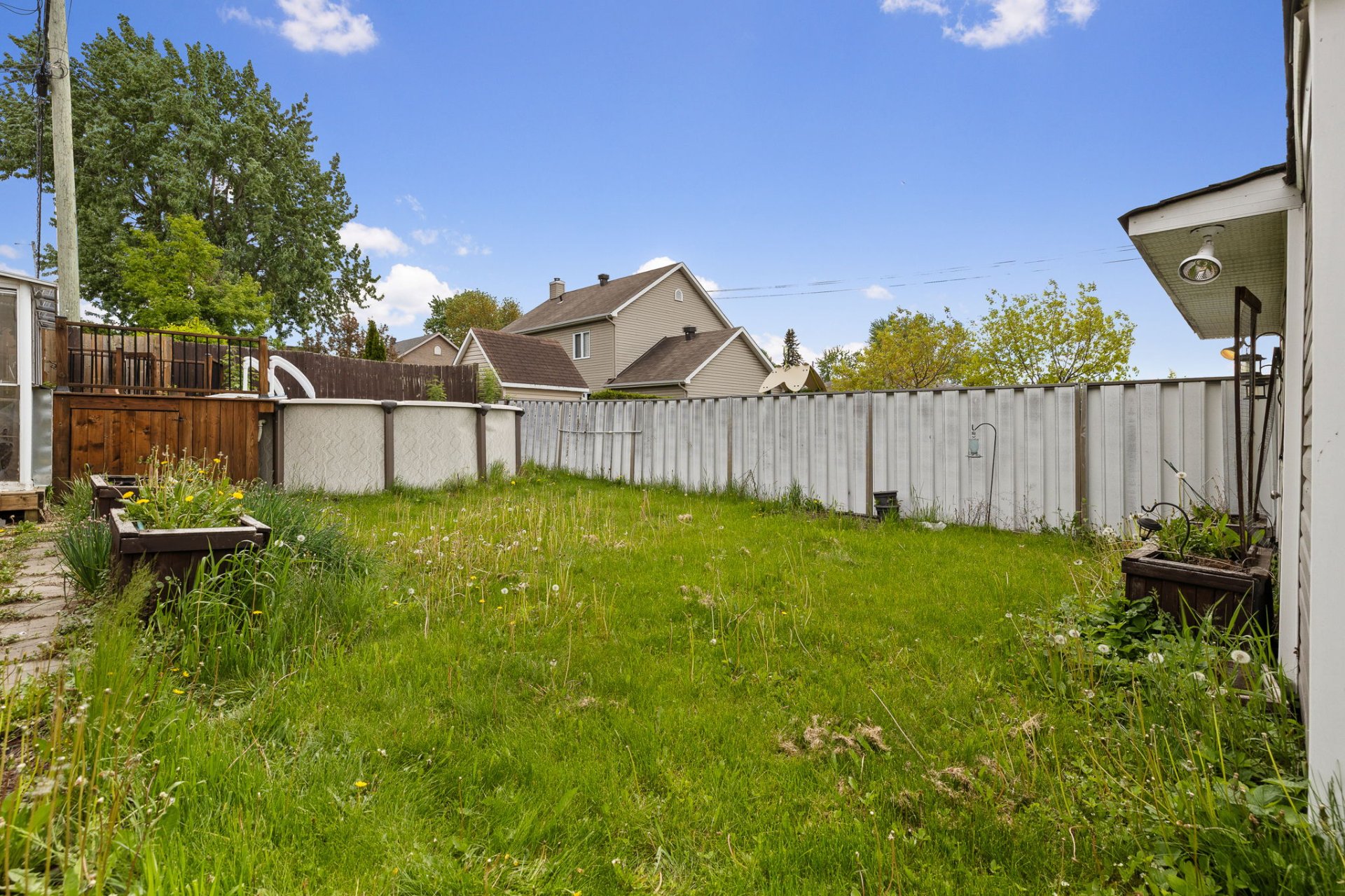 Backyard