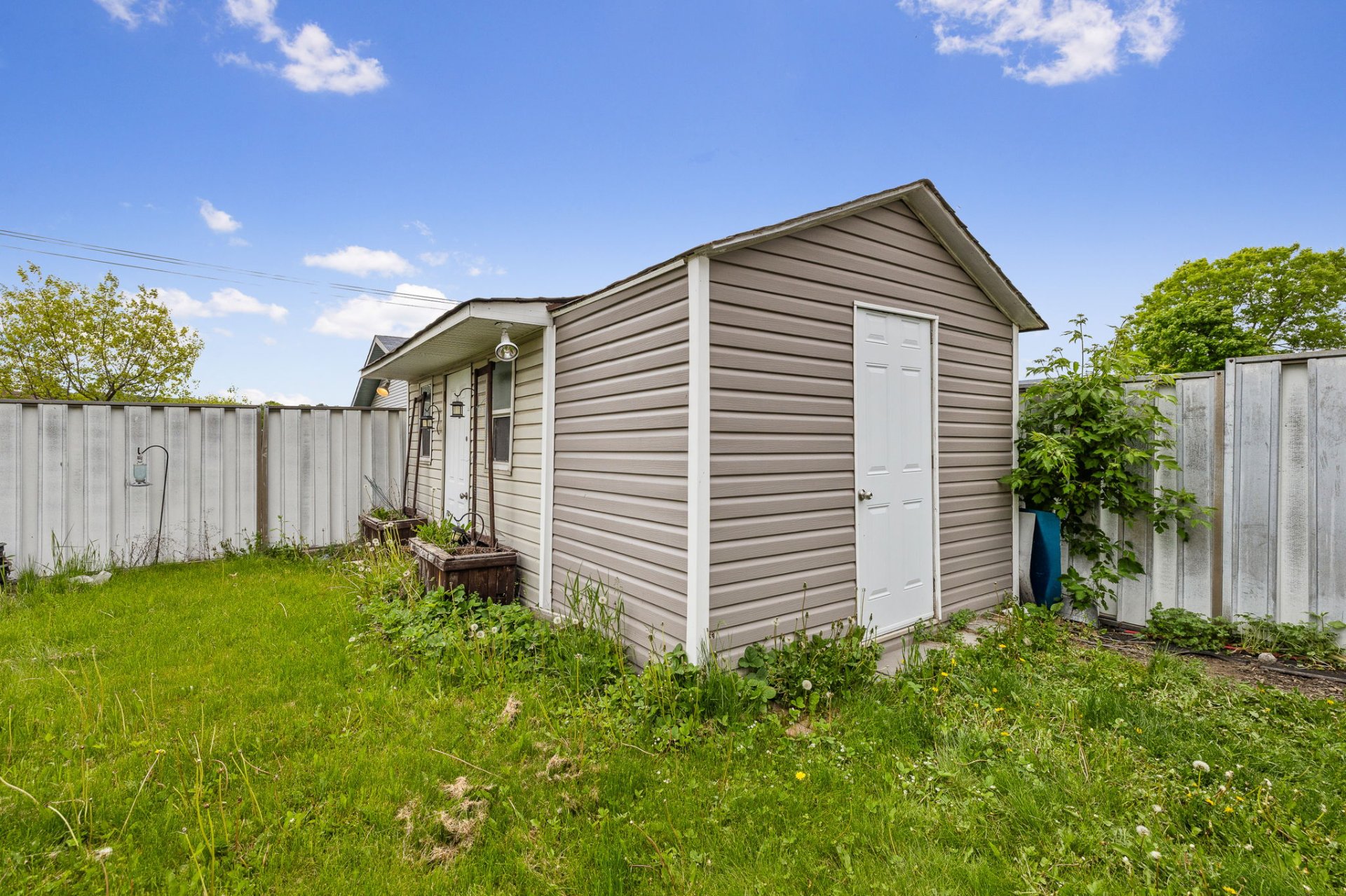 Shed