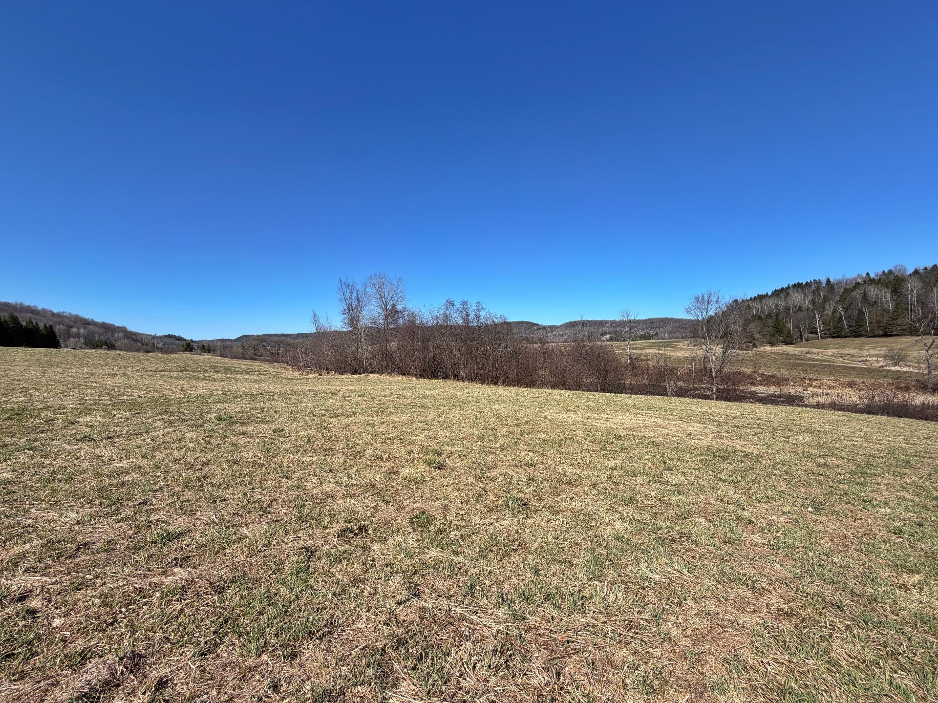 Overall View