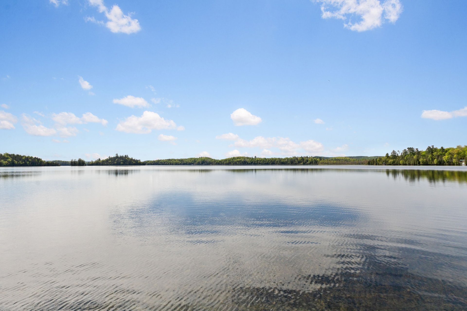 Bord de l'eau