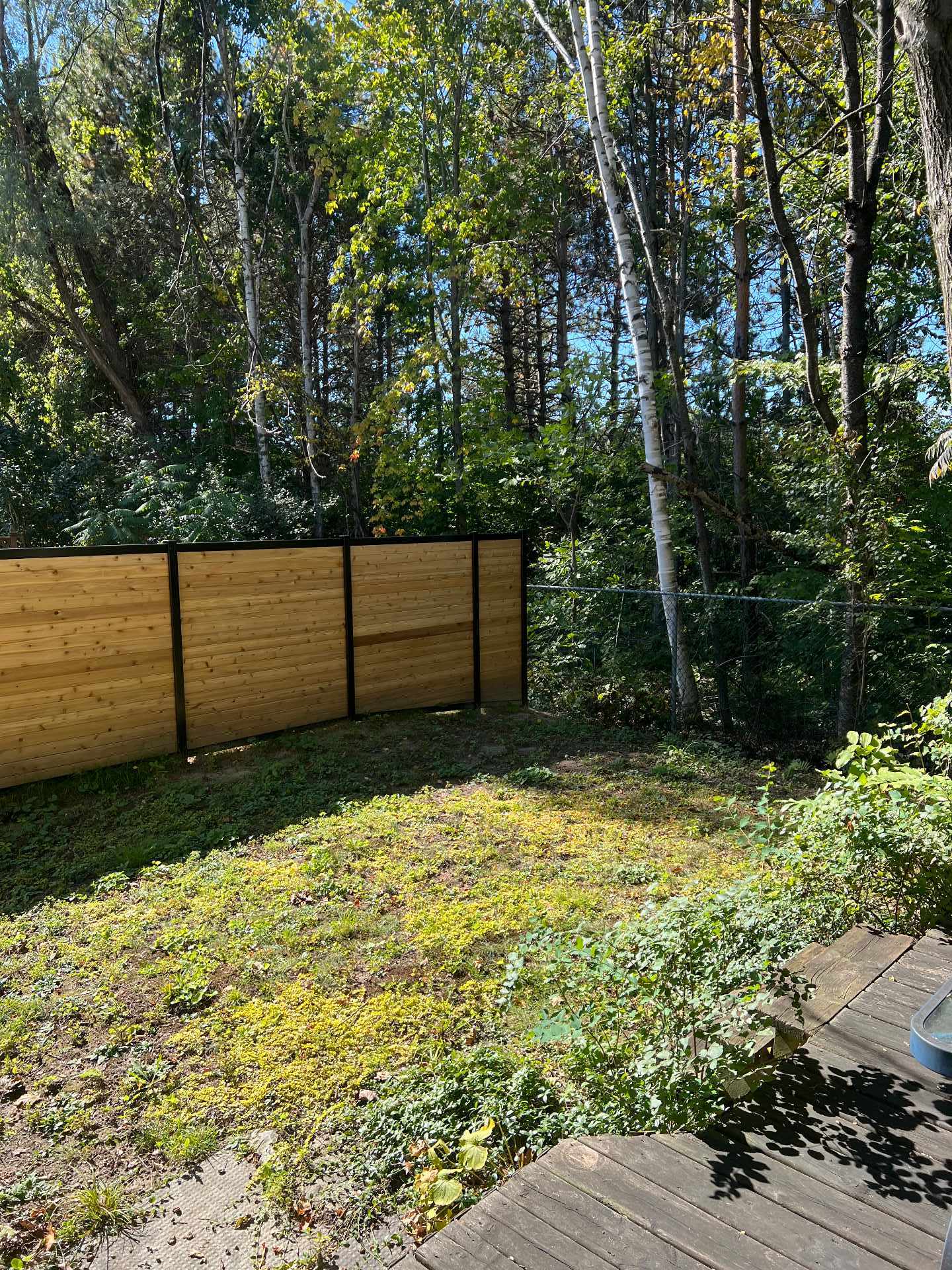 Backyard