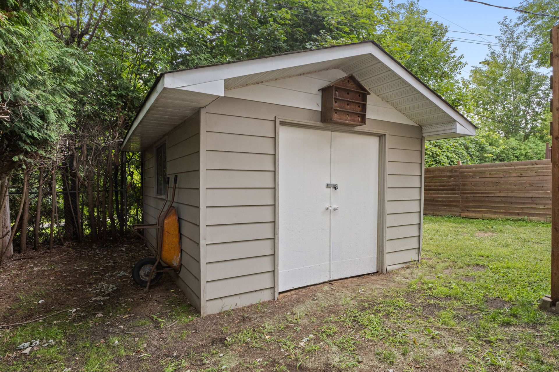 Shed