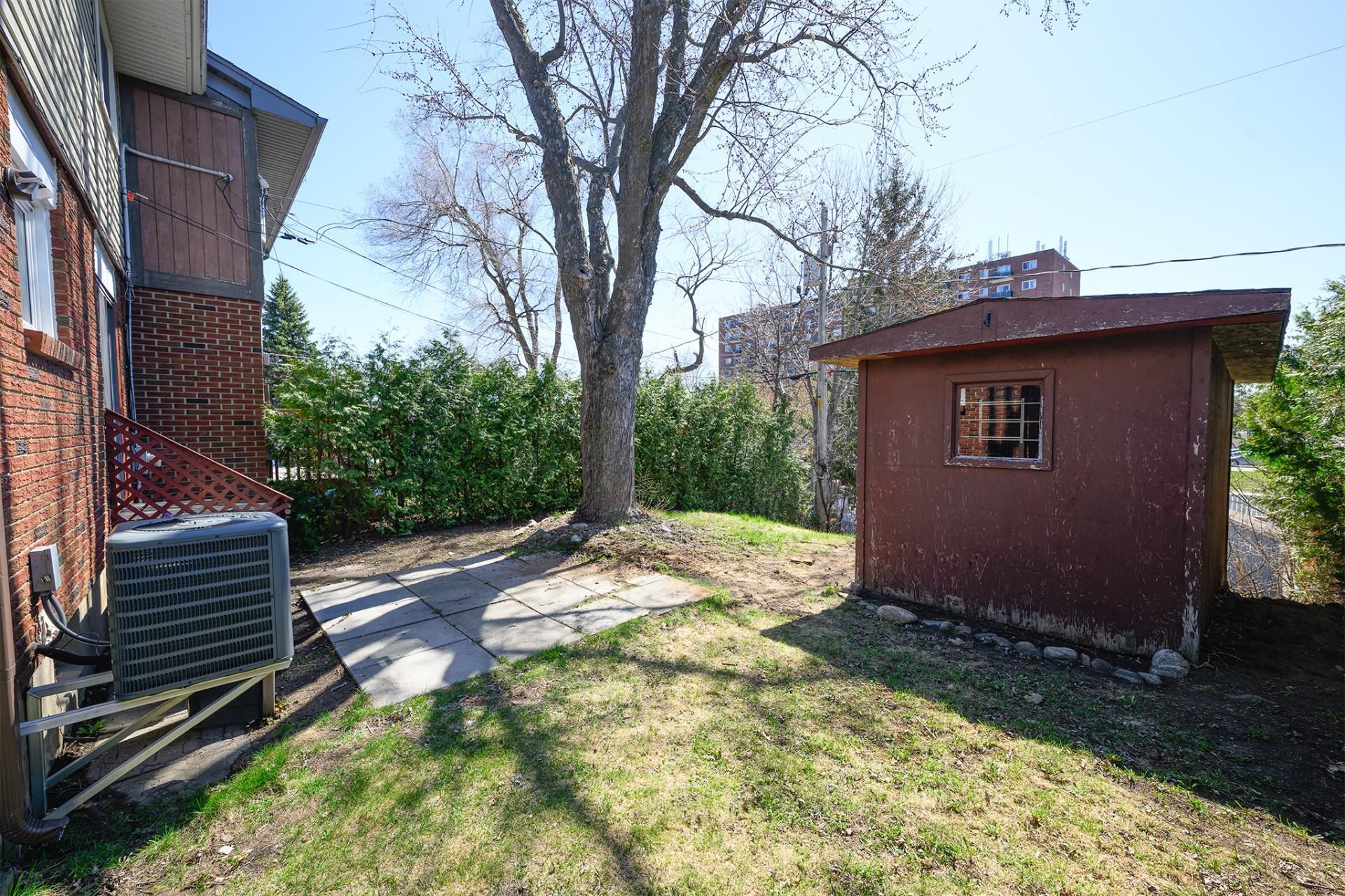 Backyard