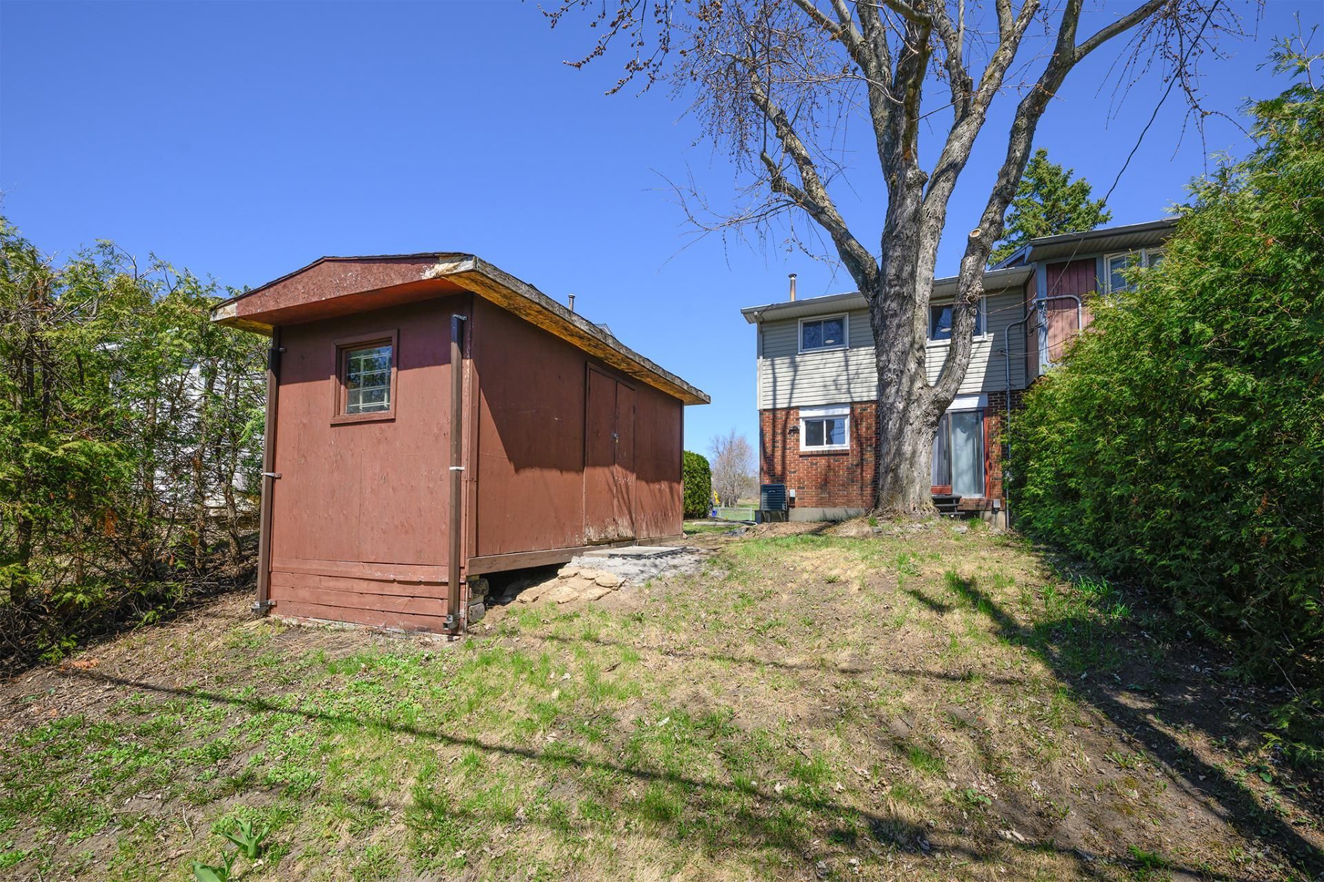 Shed