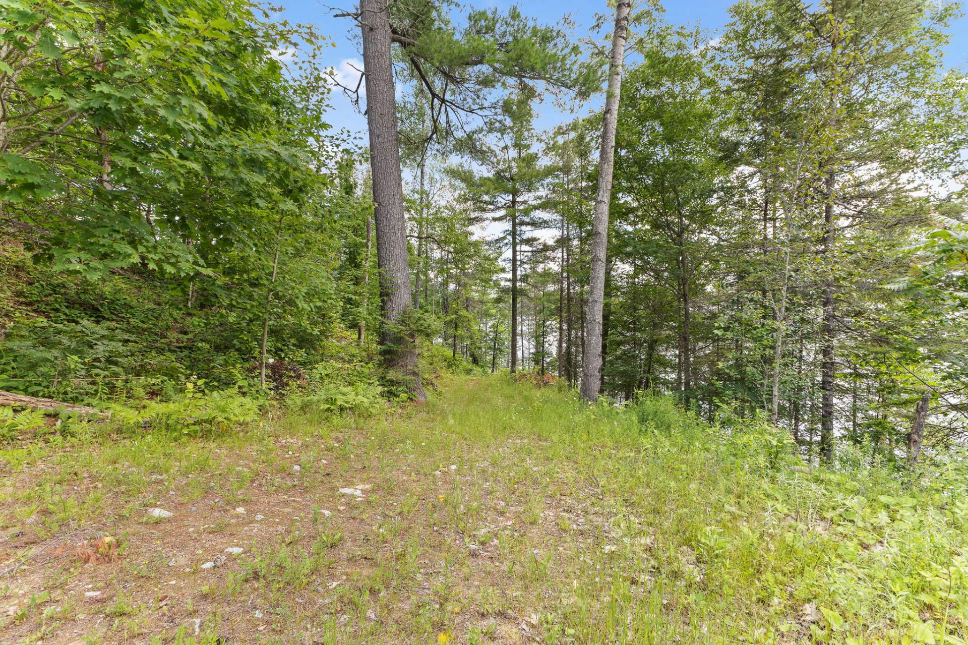Land/Lot