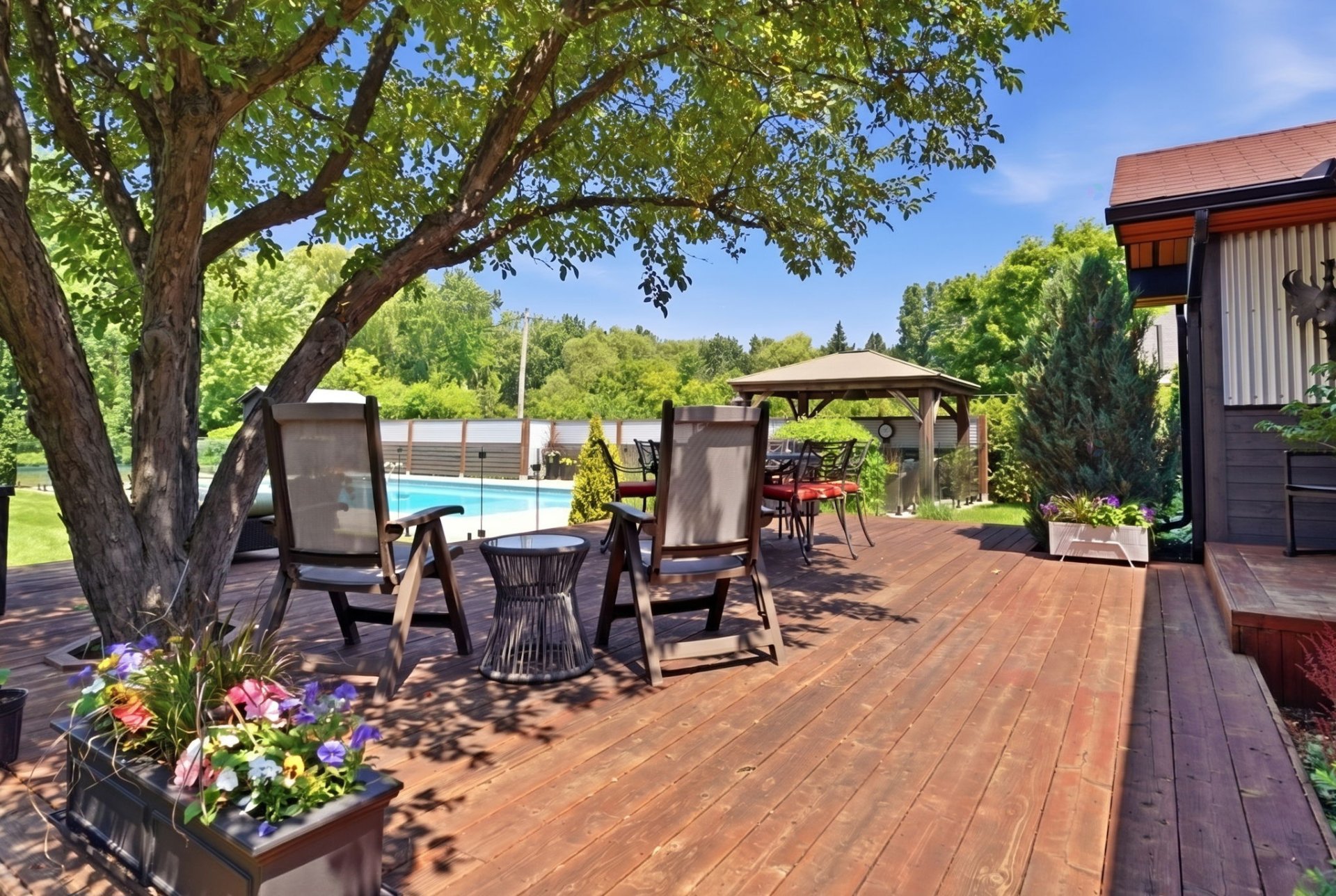 Backyard