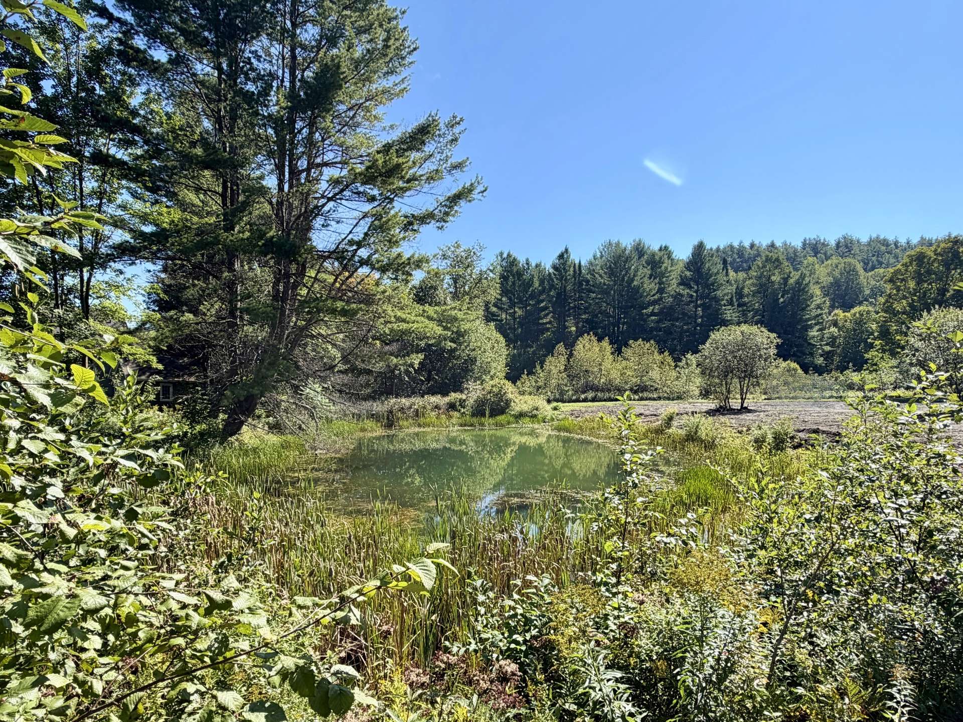Bord de l'eau