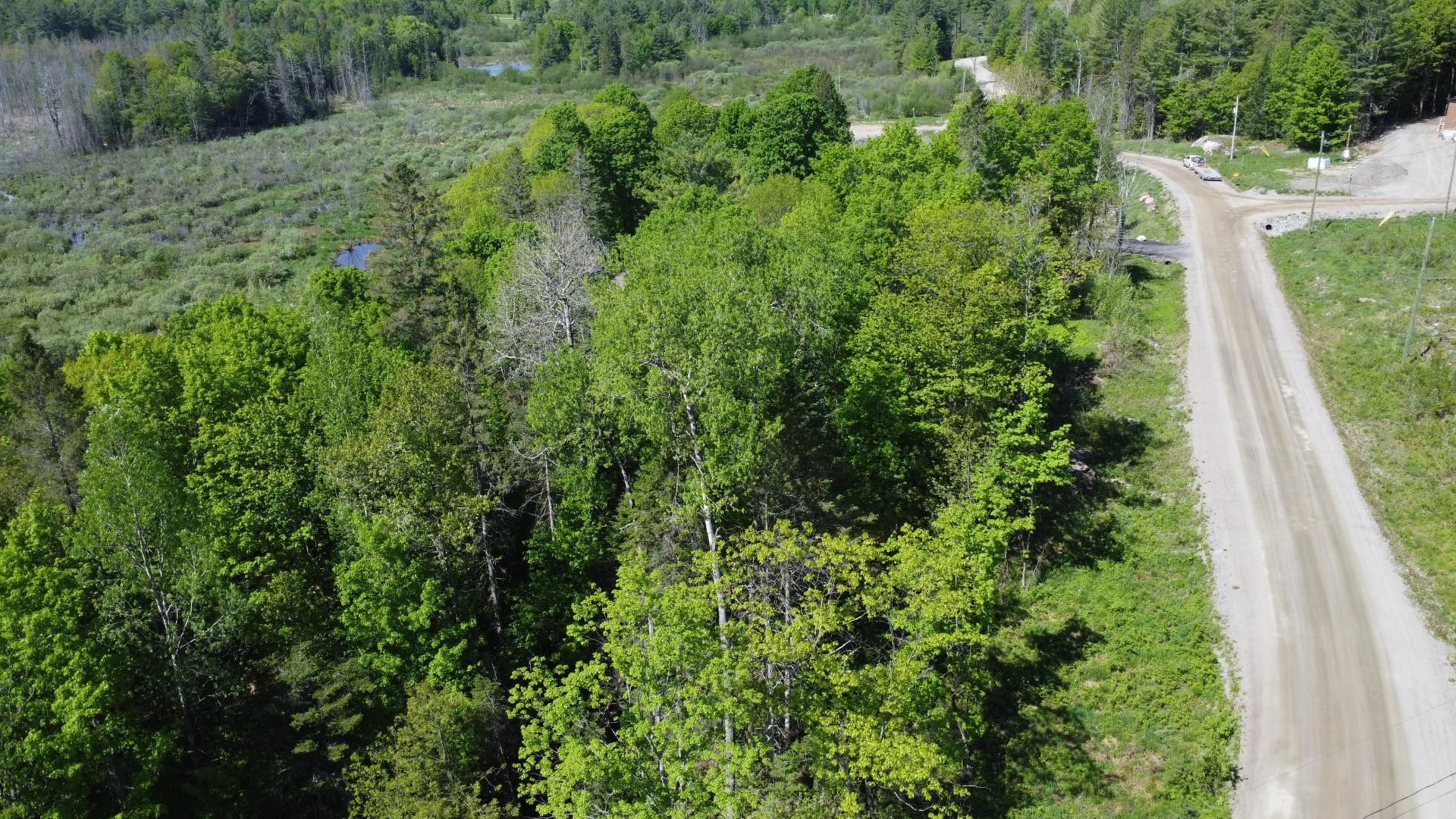 Overall View